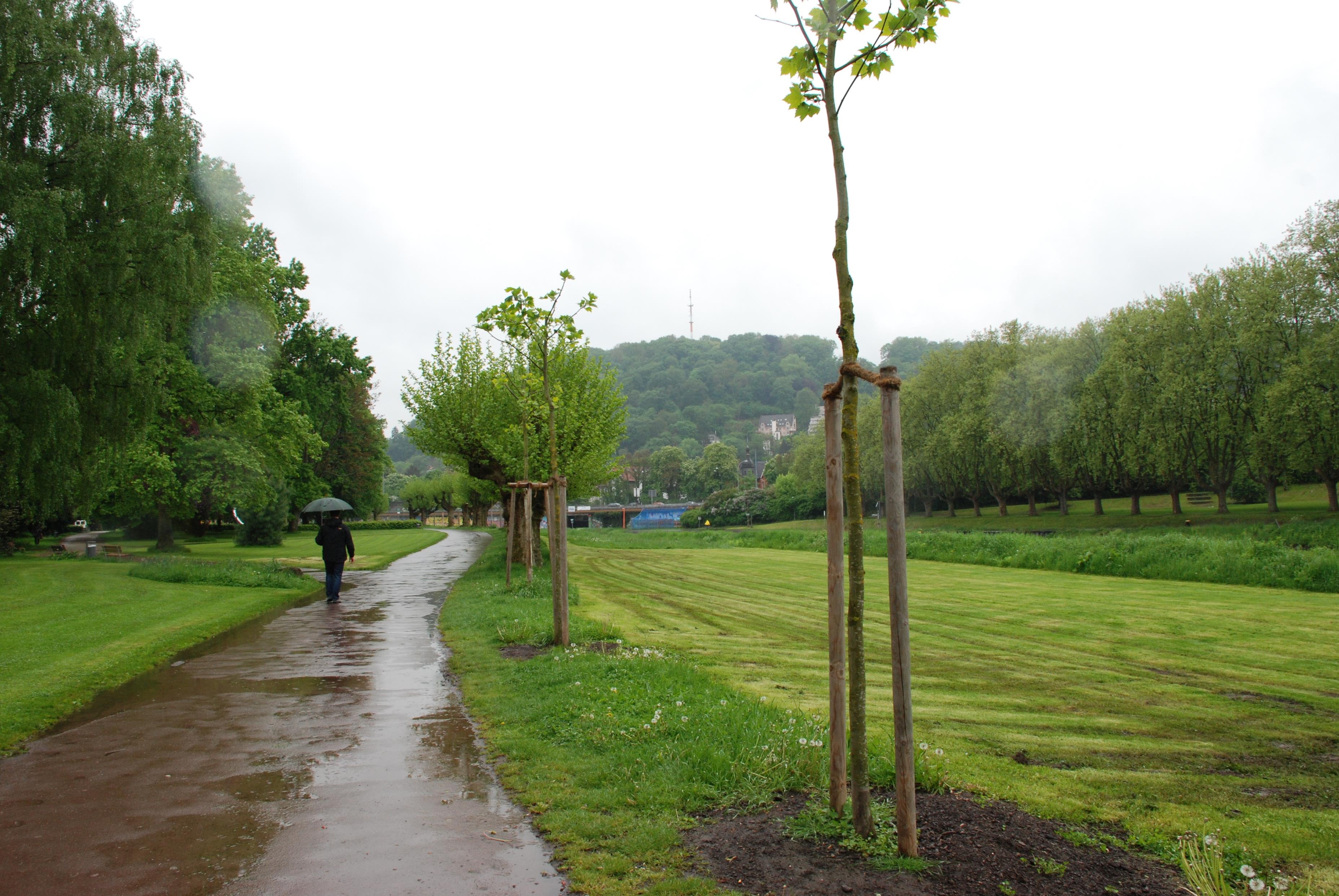 day, scenics - nature, water, nature, trees, beauty in nature, sky, park, landscape, green color, tranquil scene, grass, wet, growth, tranquility, umbrella, HD Wallpaper