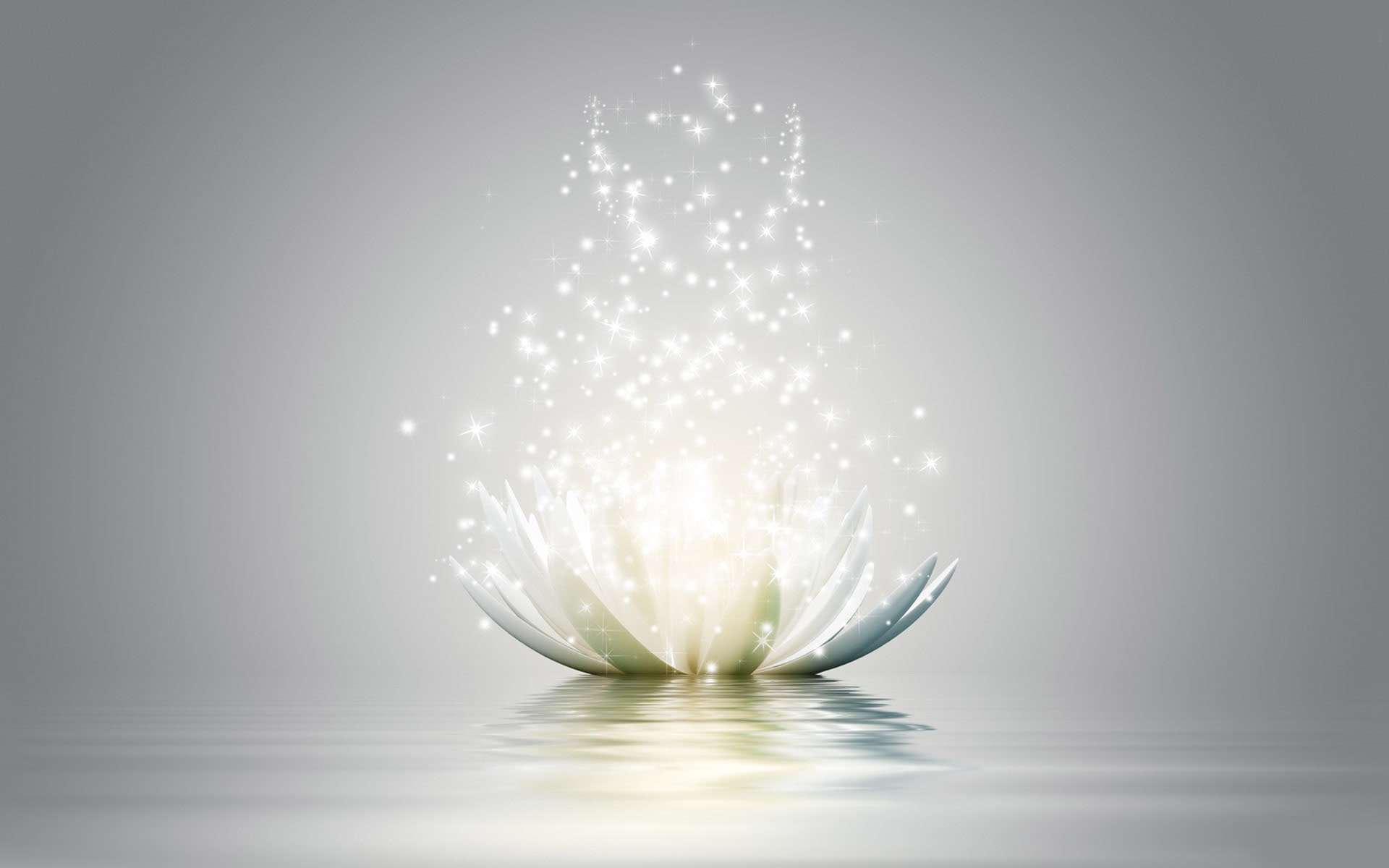 light, flower, artwork, 1080P, plant, glitters, HD Wallpaper