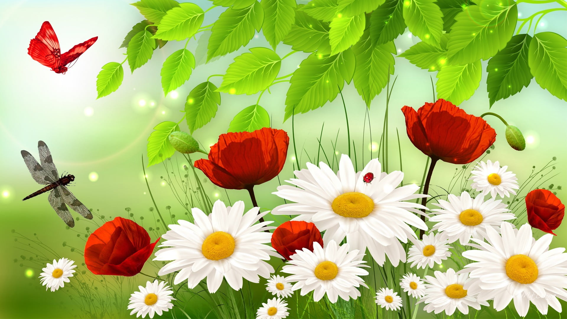 outdoors, dragonfly, vulnerability, growth, Daisy, poppy, red, blossom, beauty, flower Head, pollen, colors, flowerbed, backgrounds, no people, ornate, HD Wallpaper