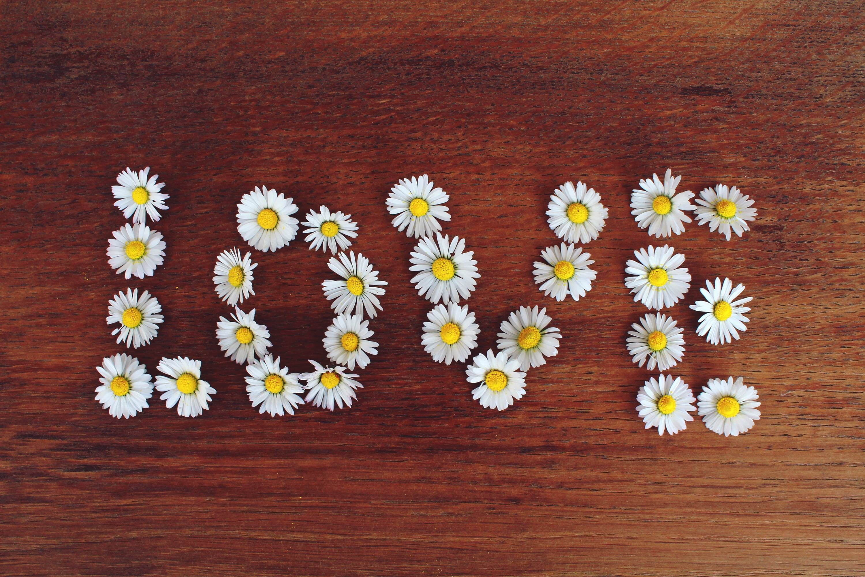 decoration, flowers, wood, decorative, wood grain, food and drink, vulnerability, flower, directly above, no people, plant, deco, valentines day, relationship, HD Wallpaper