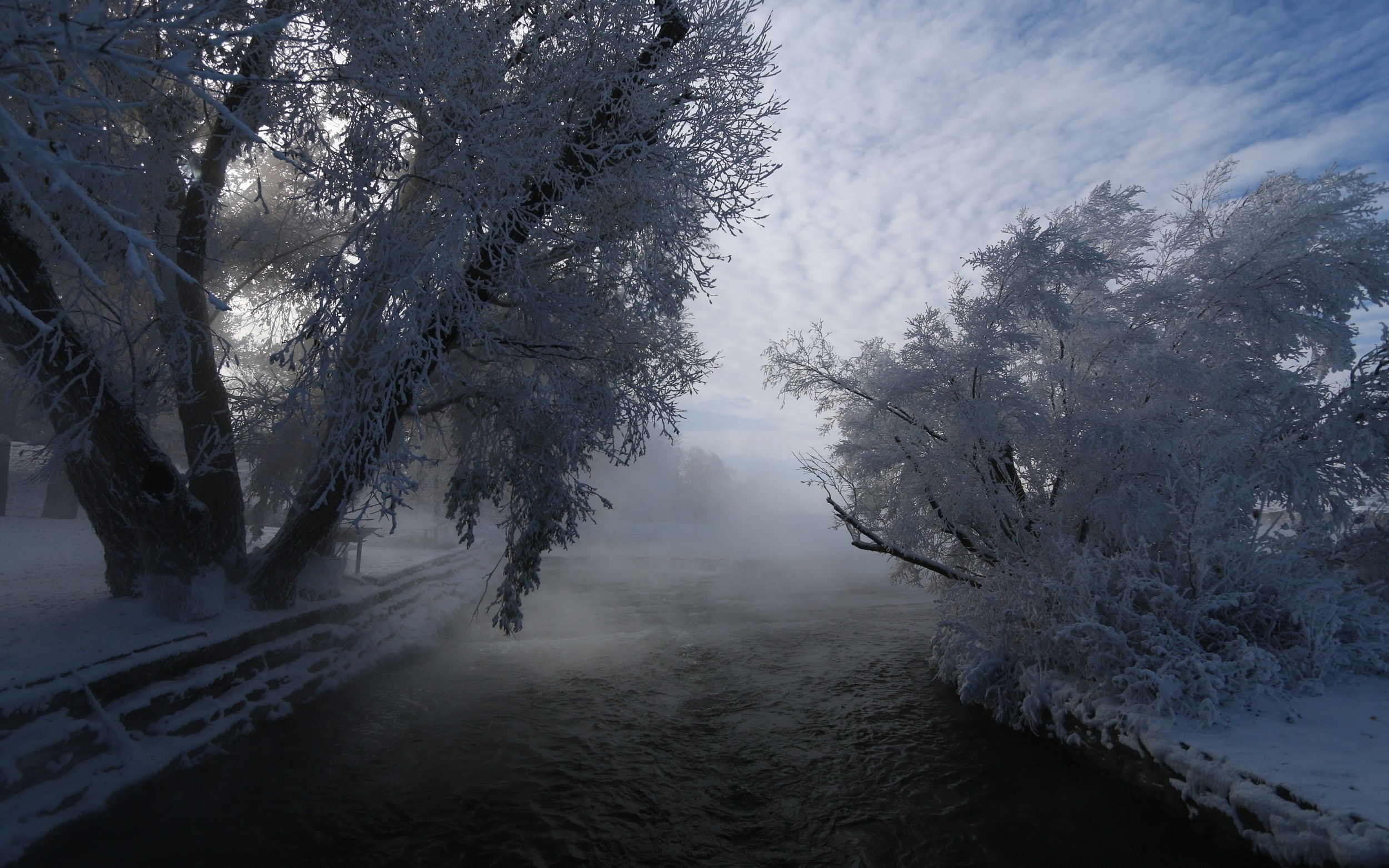 shrubs, winter, nature, 1080P, cold, clouds, river, frost, trees, snow, mist, landscape, HD Wallpaper