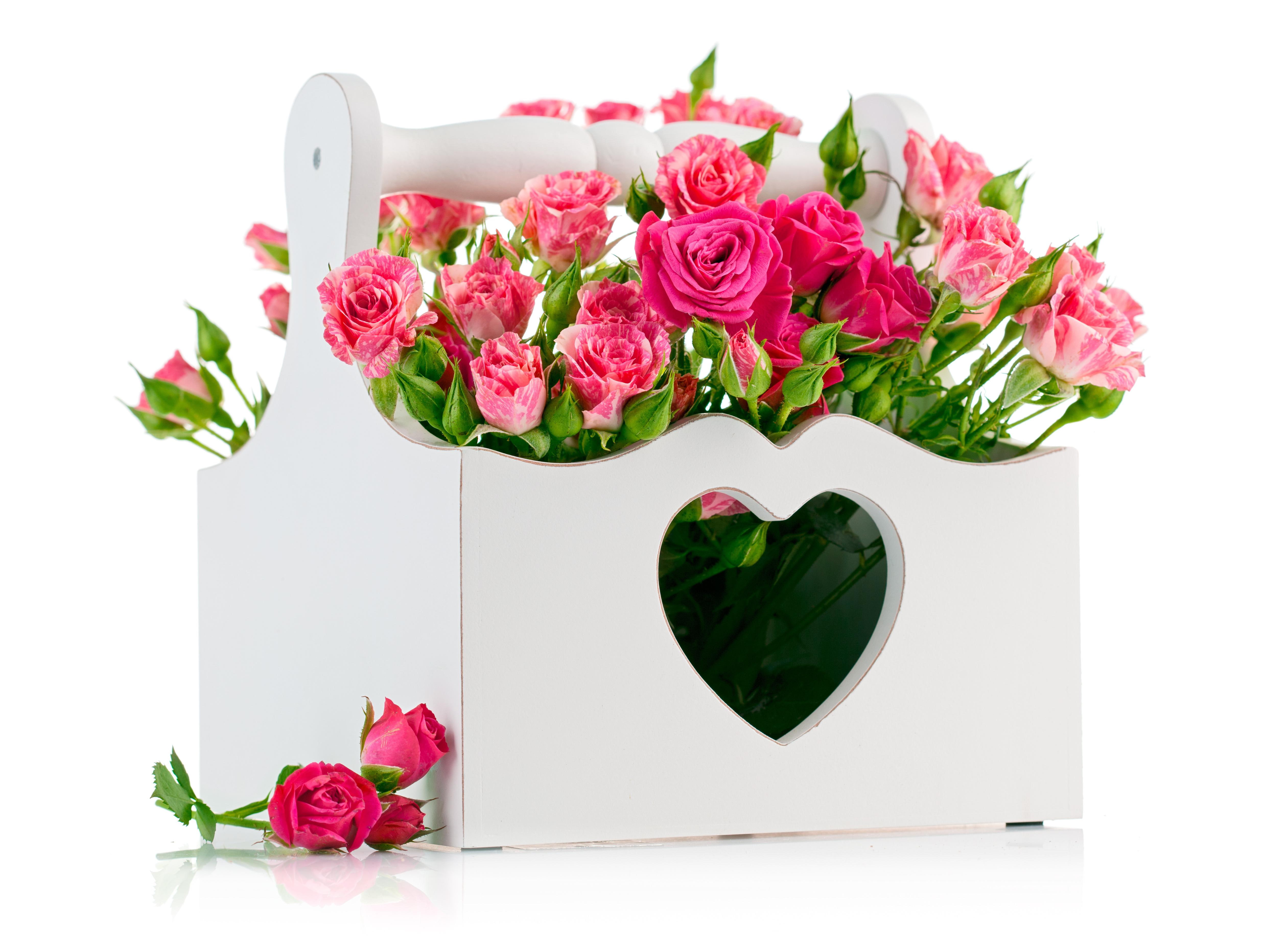 rose, design, baskets, 4K, unique, bouquets, pink, roses, HD Wallpaper