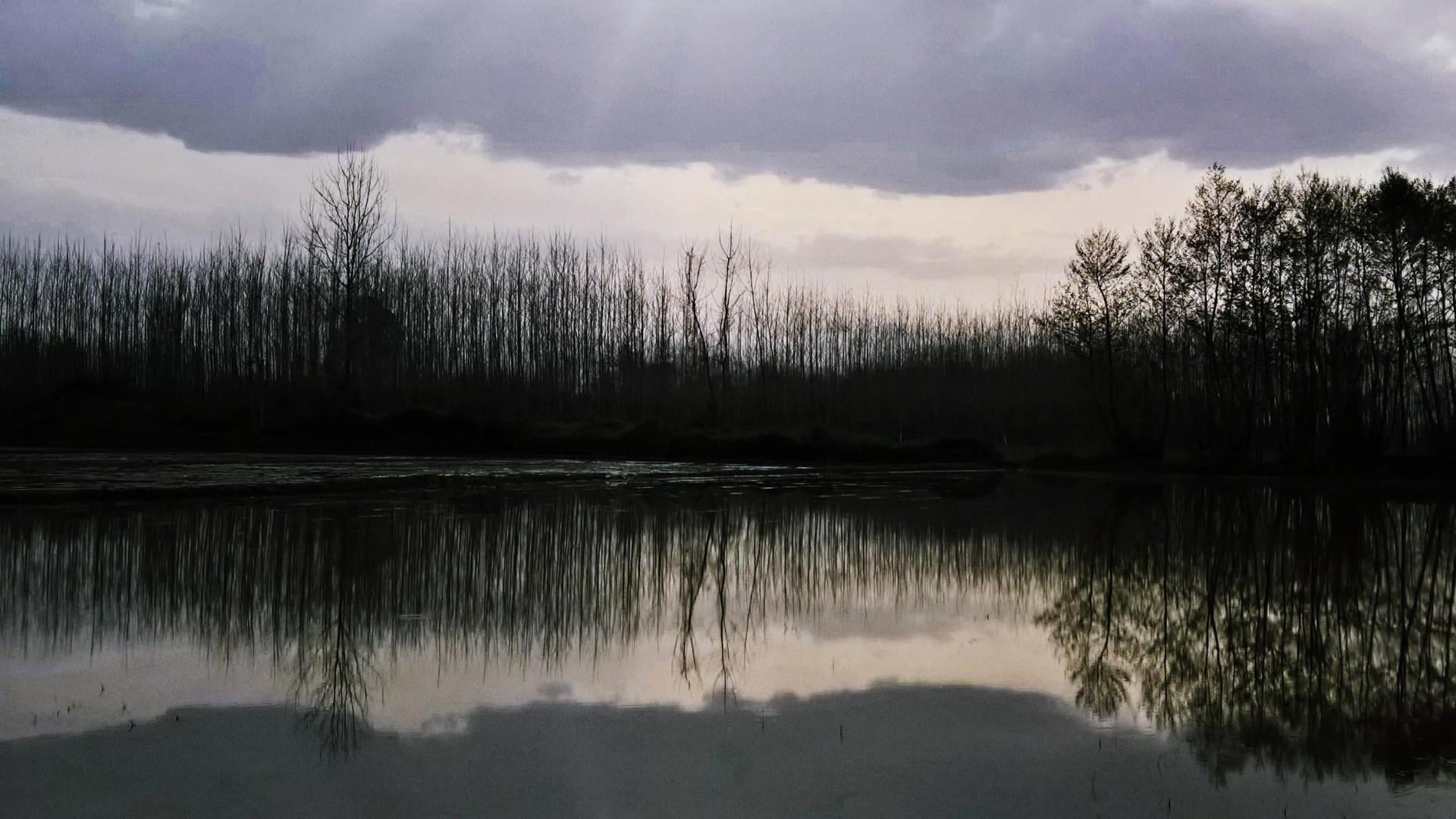 sky, iran nature, no people, 1080P, woodland, reflected, reflection, standing water, beauty in nature, tranquility, forest, reflection lake, tranquil scene, HD Wallpaper