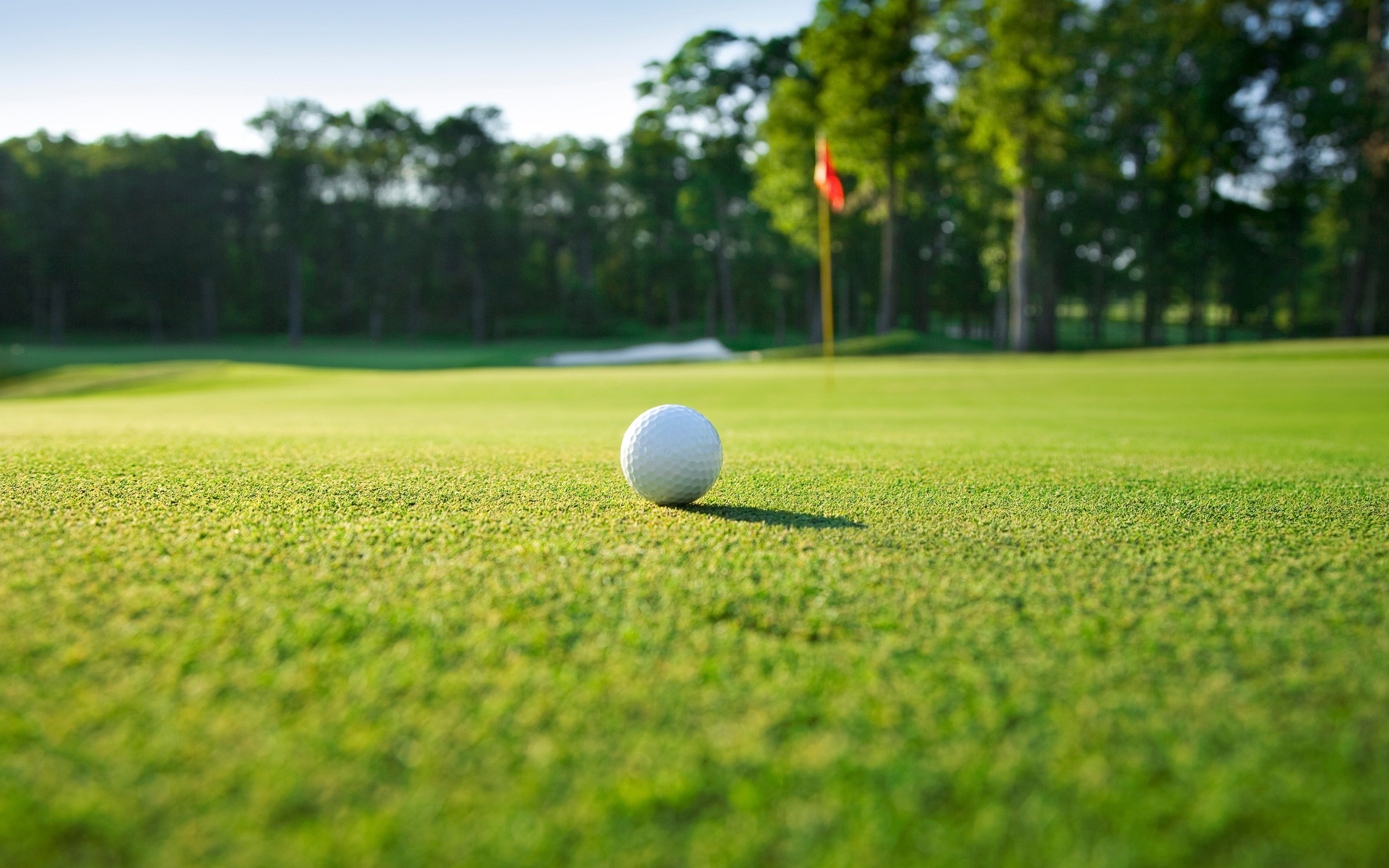 putting green, close-up, plant, closeup, surface level, golf, outdoors, activity, nature, taking a shot - sport, grass, green, day, leisure activity, hole, HD Wallpaper