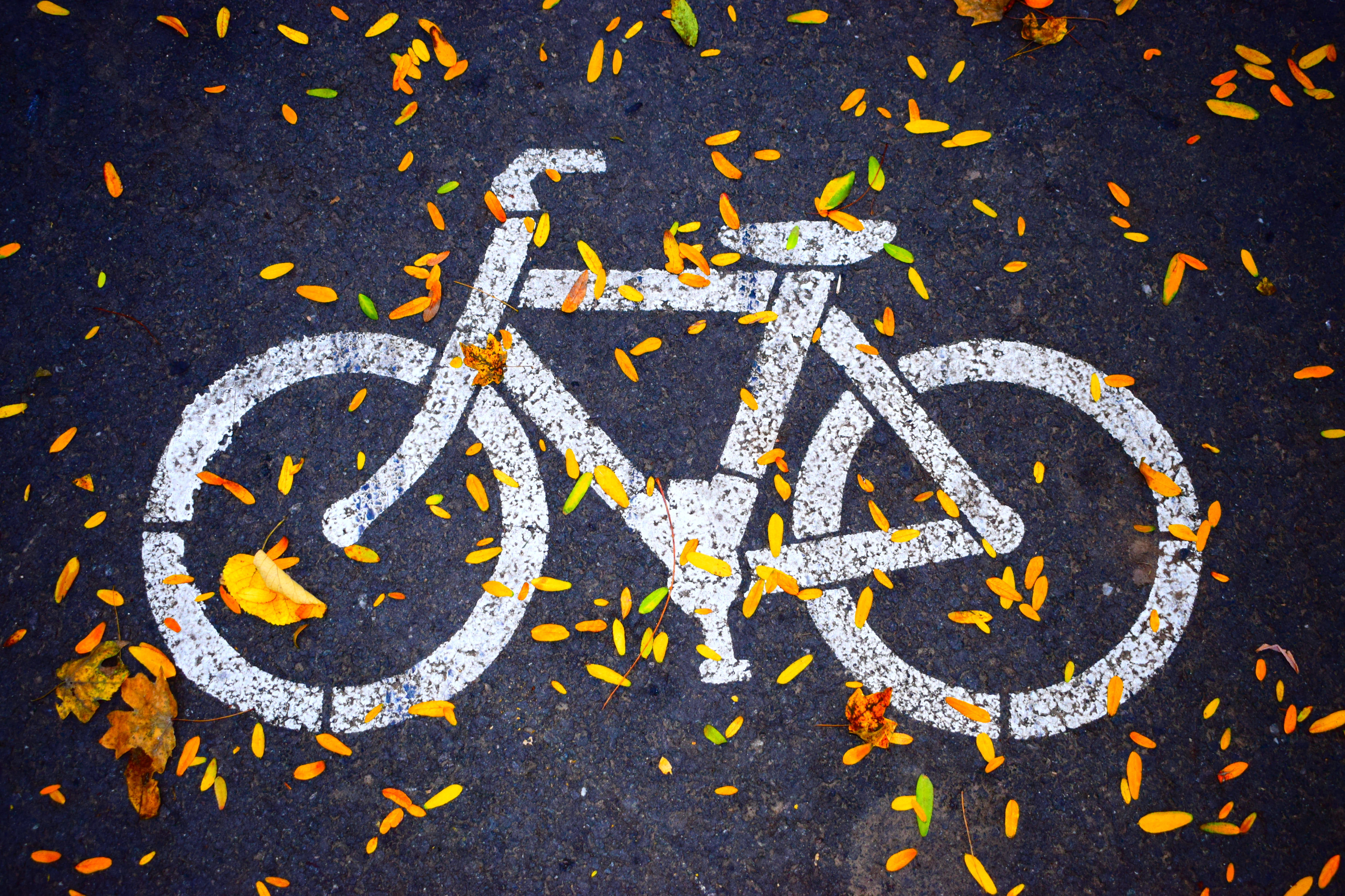 dirty, symbol, day, directly above, high angle view, transportation, communication, leaf, 5K, bike, full frame, asphalt, city, no people, colors, leaves, HD Wallpaper