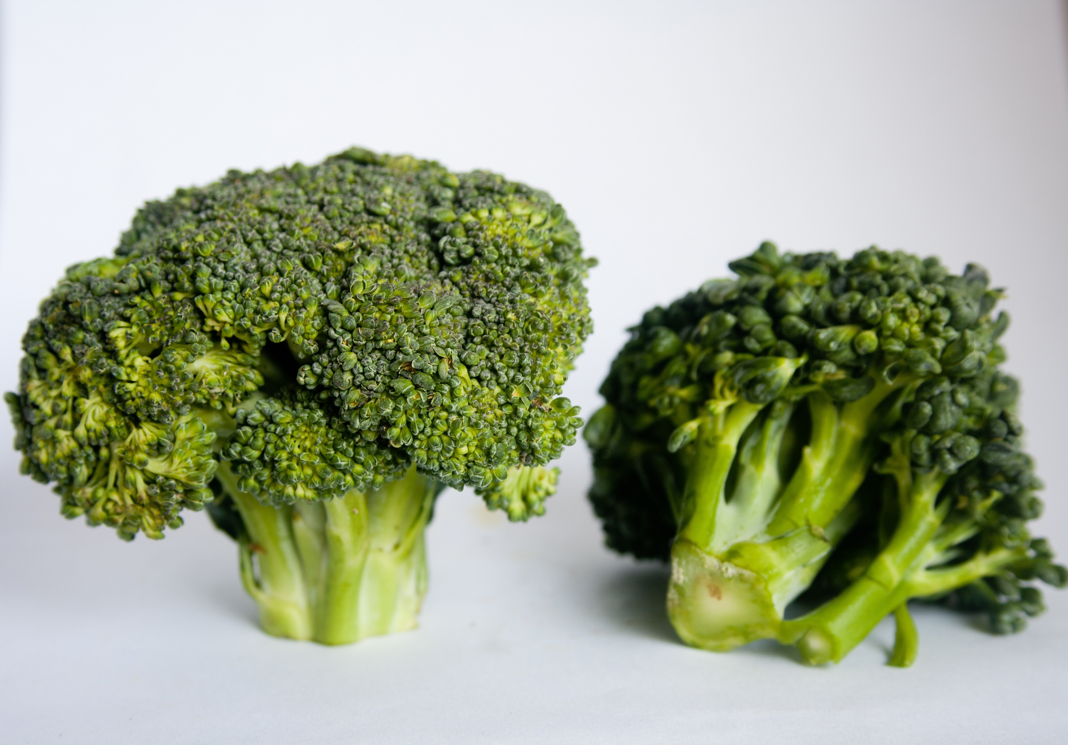 raw food, close-up, healthy, two, wellbeing, food, plants, green, cut out, white background, 2K, food and drink, studio shot, vegetabes, broccolis, indoors, HD Wallpaper