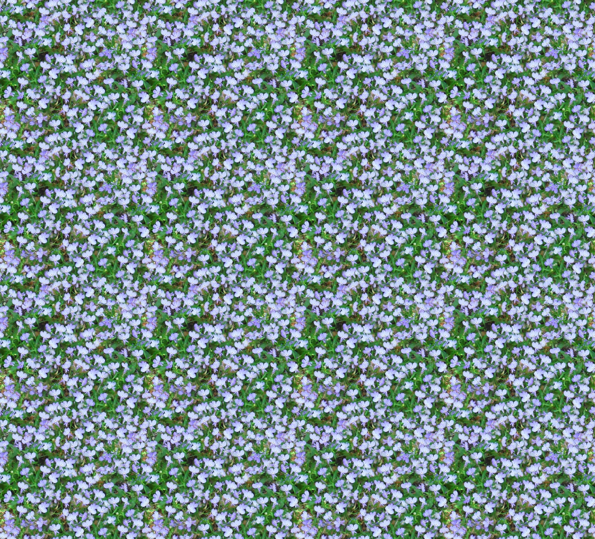 field, painting, flowers, abstract, white, backgrounds, beauty in nature, nature, purple, floret, freshness, light blue, seamless, plant, chain, flower, HD Wallpaper