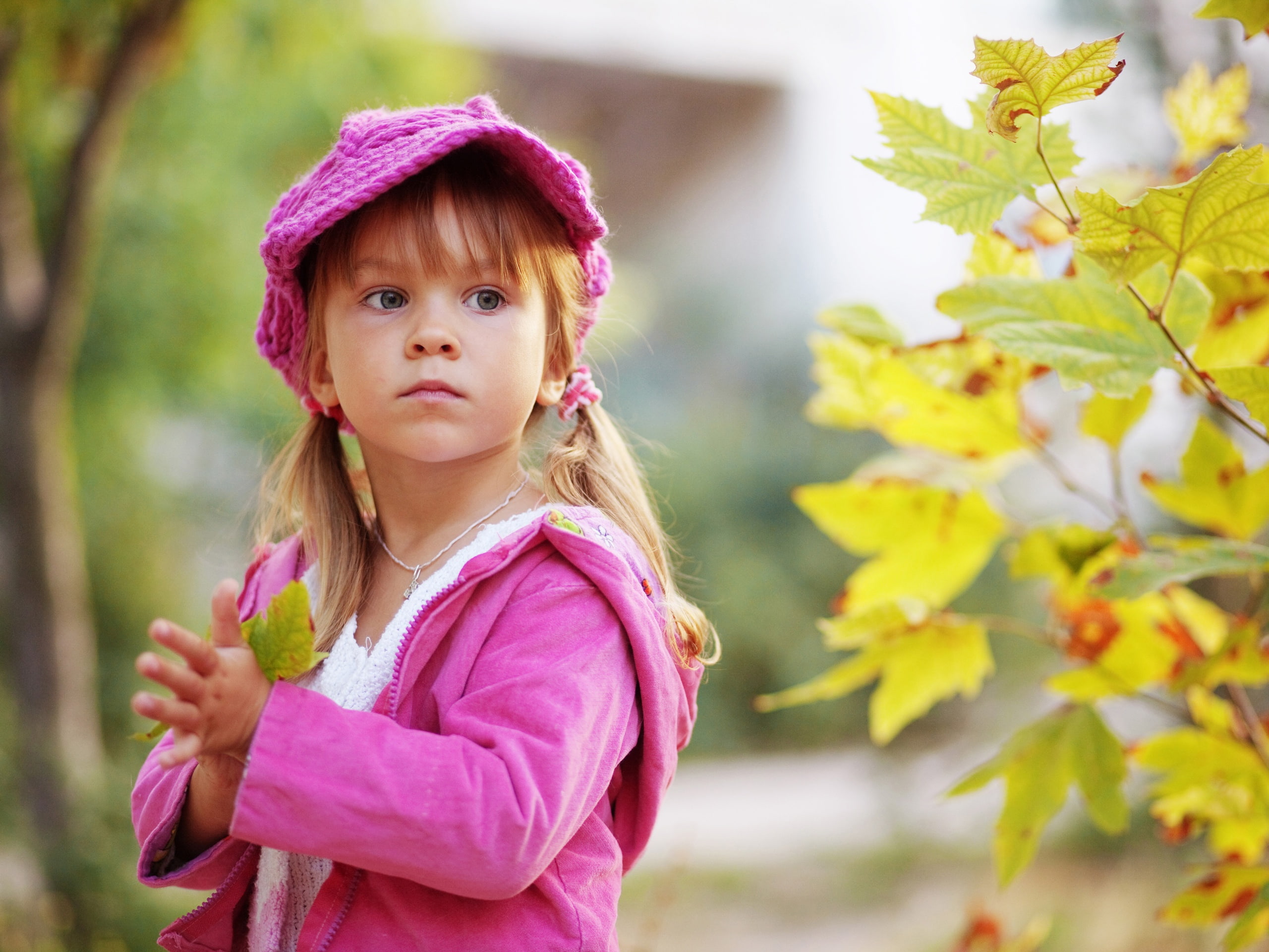 holding, Maple, Leaf, 2K, Cute, Little, Girl, HD Wallpaper