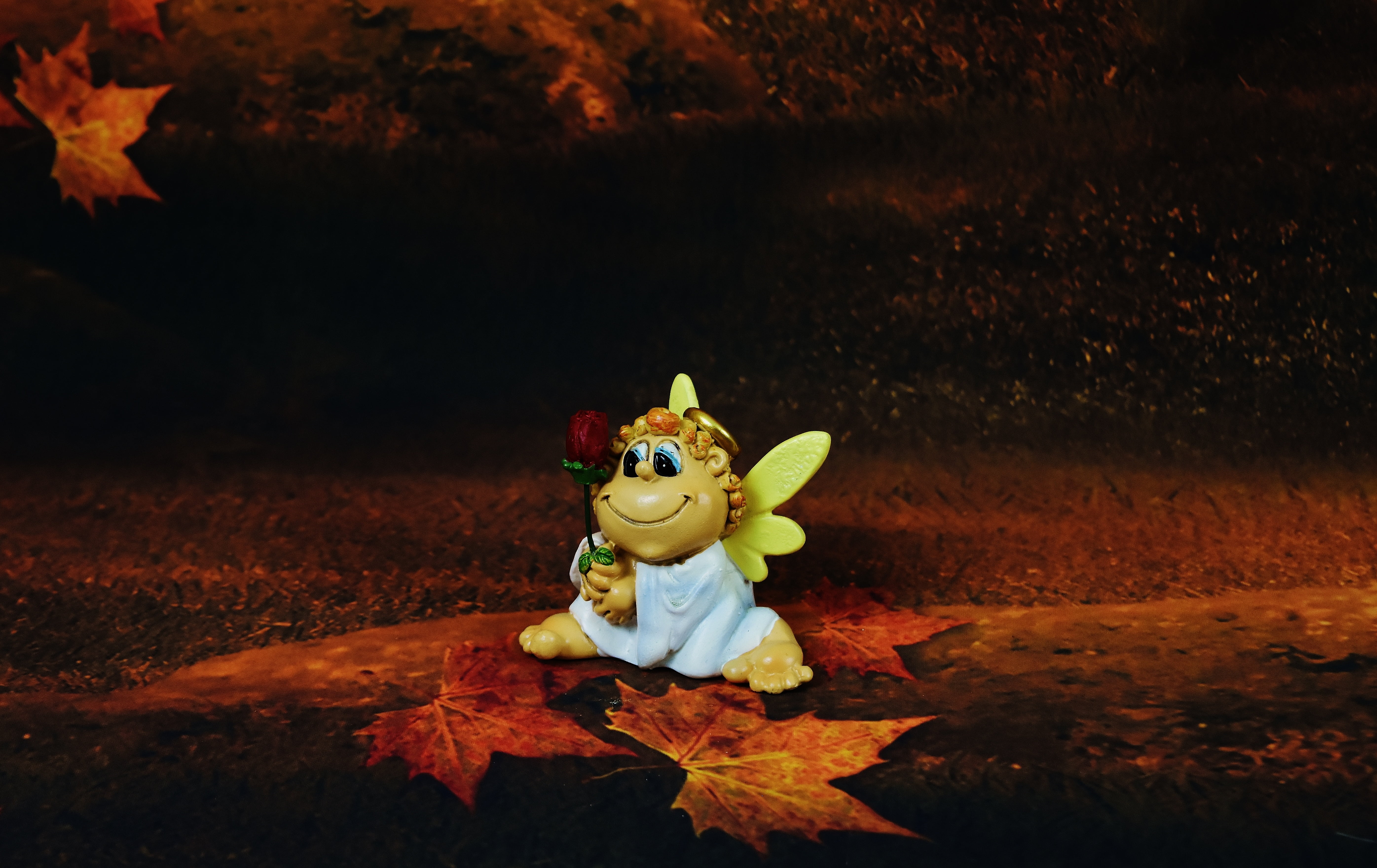 close-up, outdoors, male likeness, single object, little angel, creativity, nature, guardian angel, rose, field, love, plant part, toy, art and craft, funny, HD Wallpaper