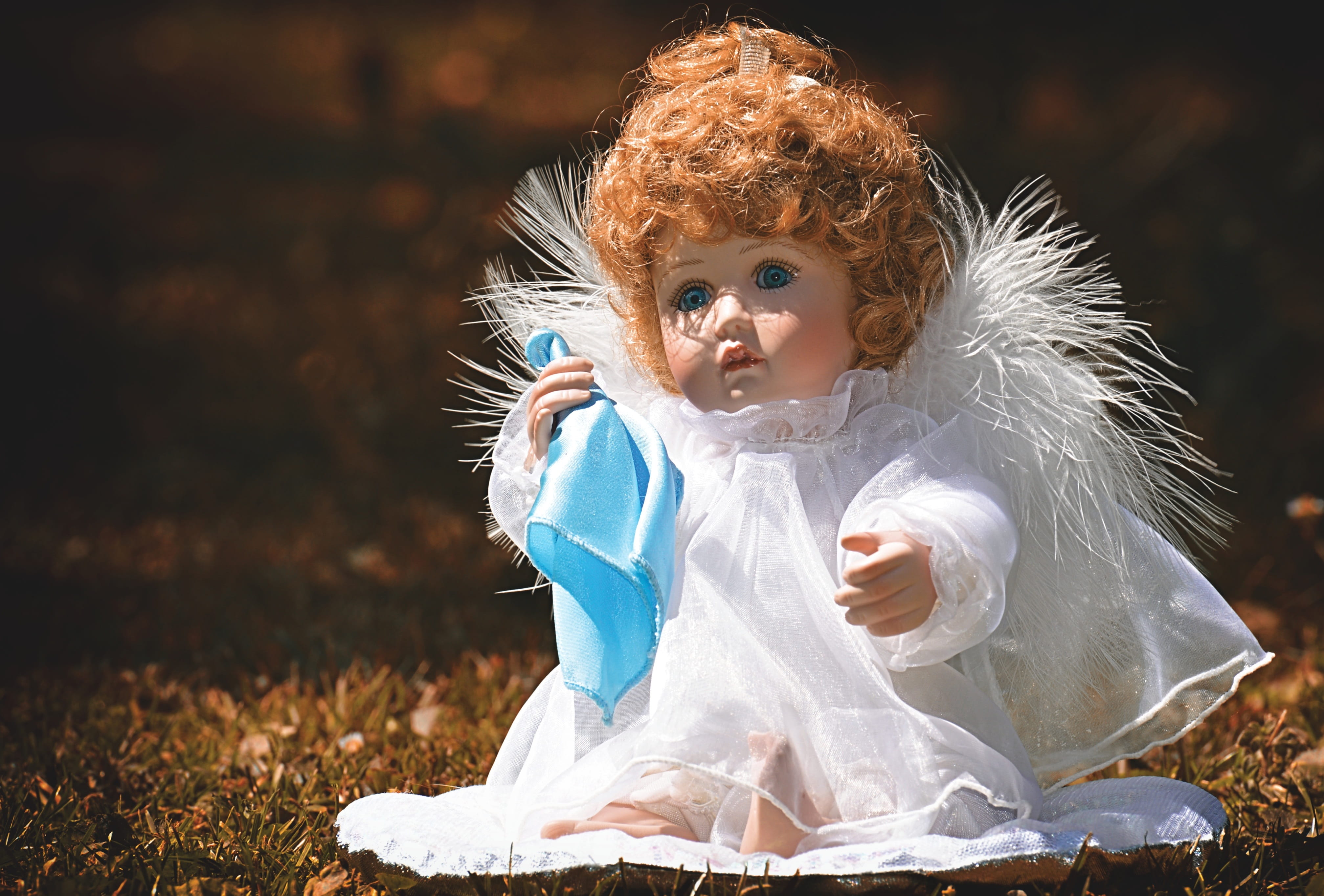 wing, land, sweet, girls, women, cute, sad, angel, front view, leisure activity, childhood, hairstyle, 4K, day, figure, guardian angel, field, lifestyles, HD Wallpaper