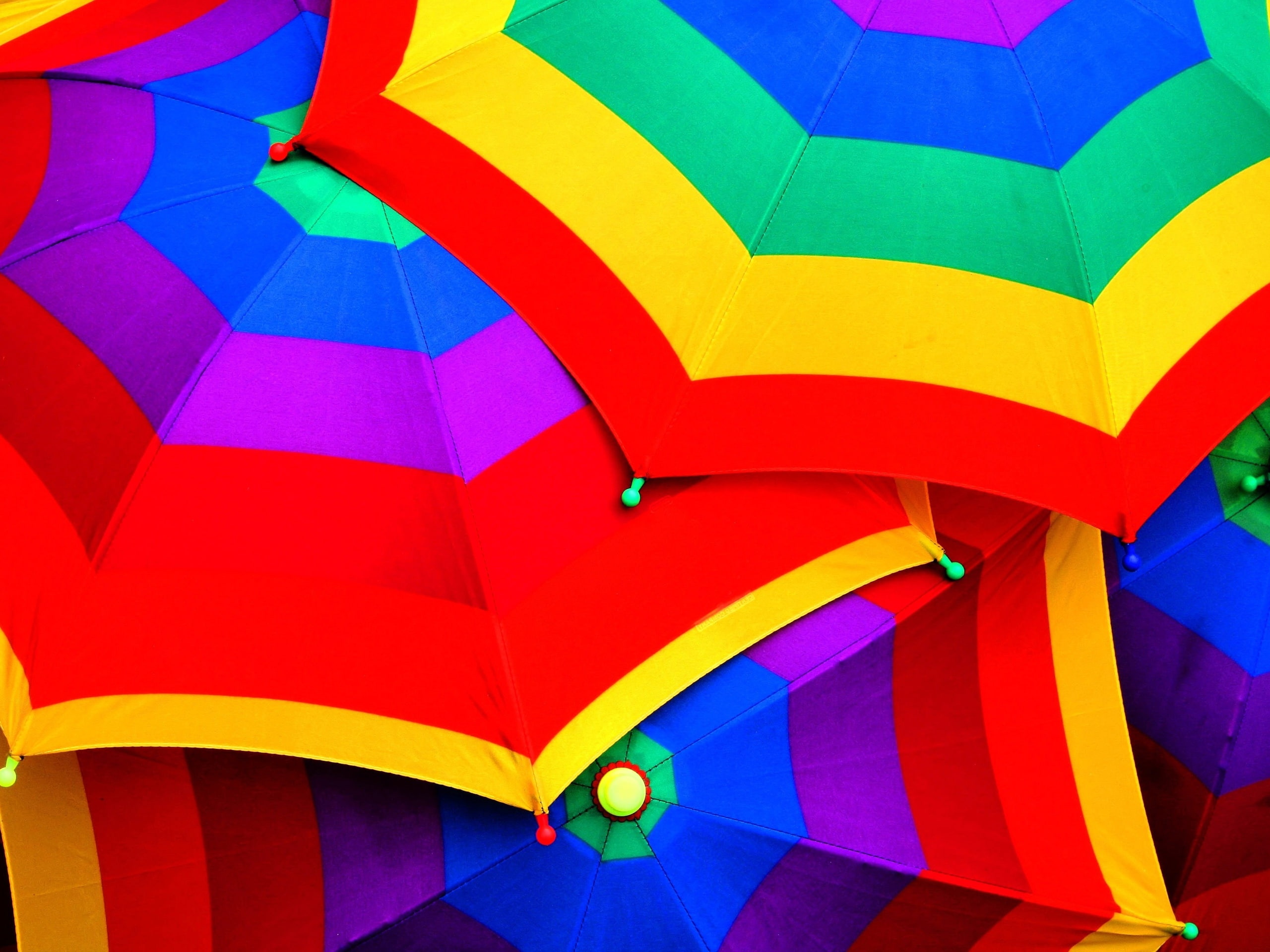 2K, umbrellas, Umbrella, Colorful, HD Wallpaper