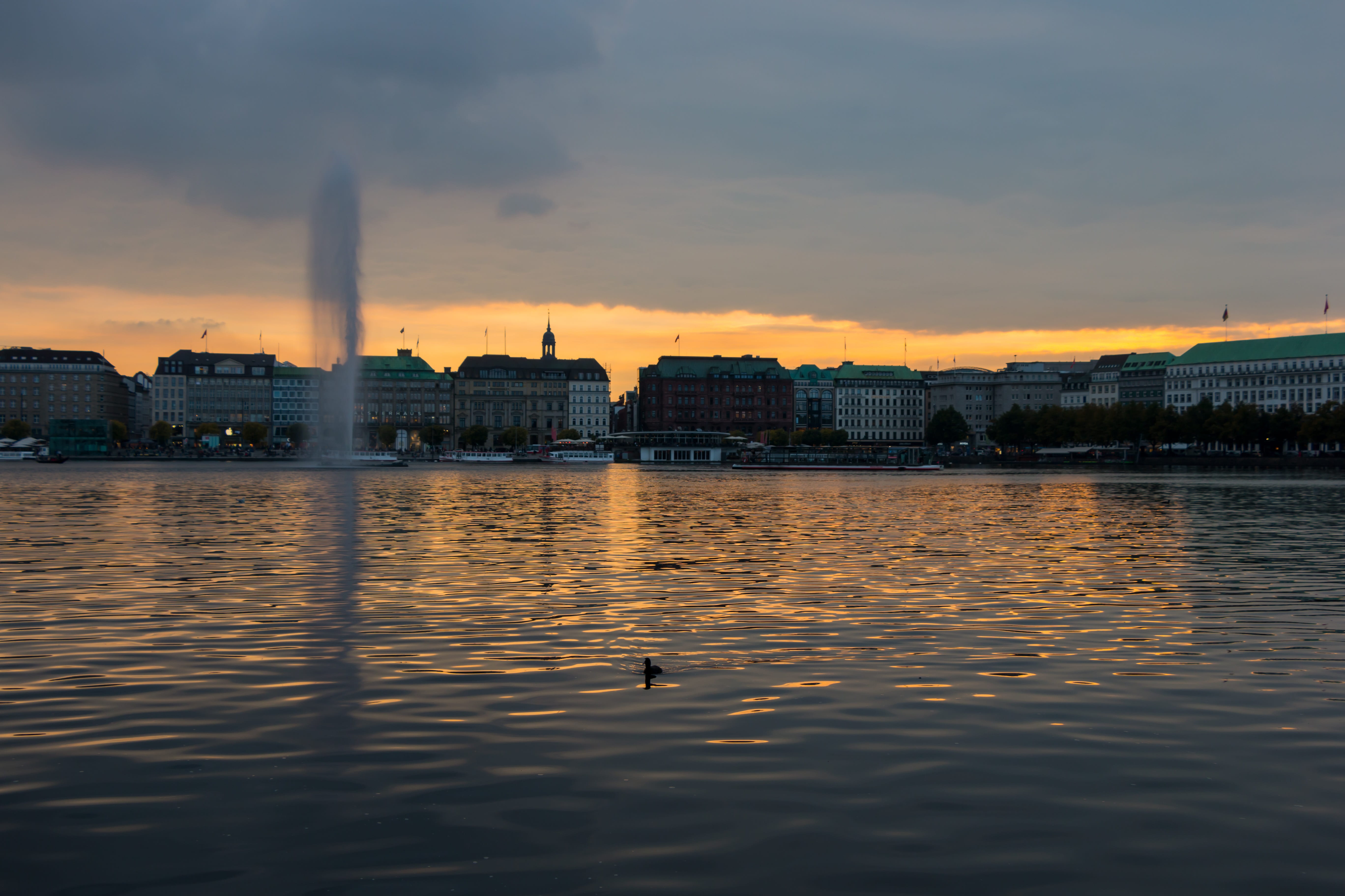 jungfernstieg, view, vertebrate, outdoors, animal wildlife, afterglow, hamburg, architecture, animal, nature, paddle, alster, no people, mirroring, summer, HD Wallpaper