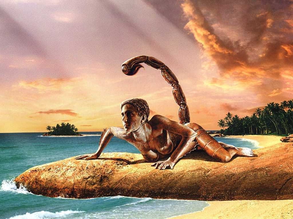 concrete, beauty in nature, tree, no people, animal, land, statue, horizon over water, sky, mammal, scorpion, sunset, signs, cloud - sky, outdoors, nature, HD Wallpaper