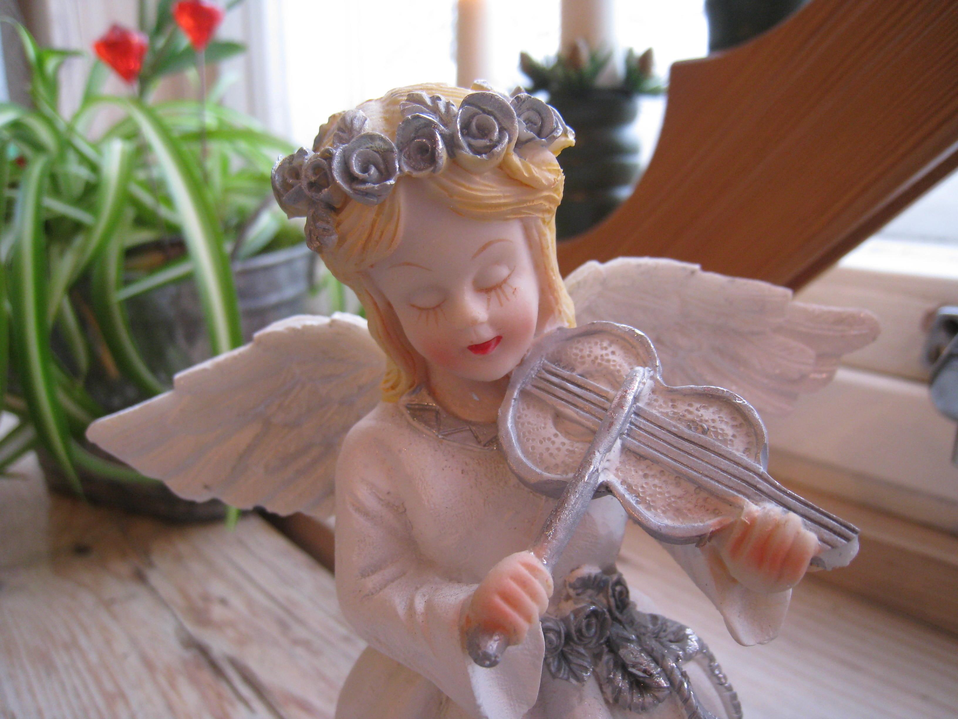 flowers, violin, christmas, white, window, colors, wings, 2K, plant, angel, HD Wallpaper