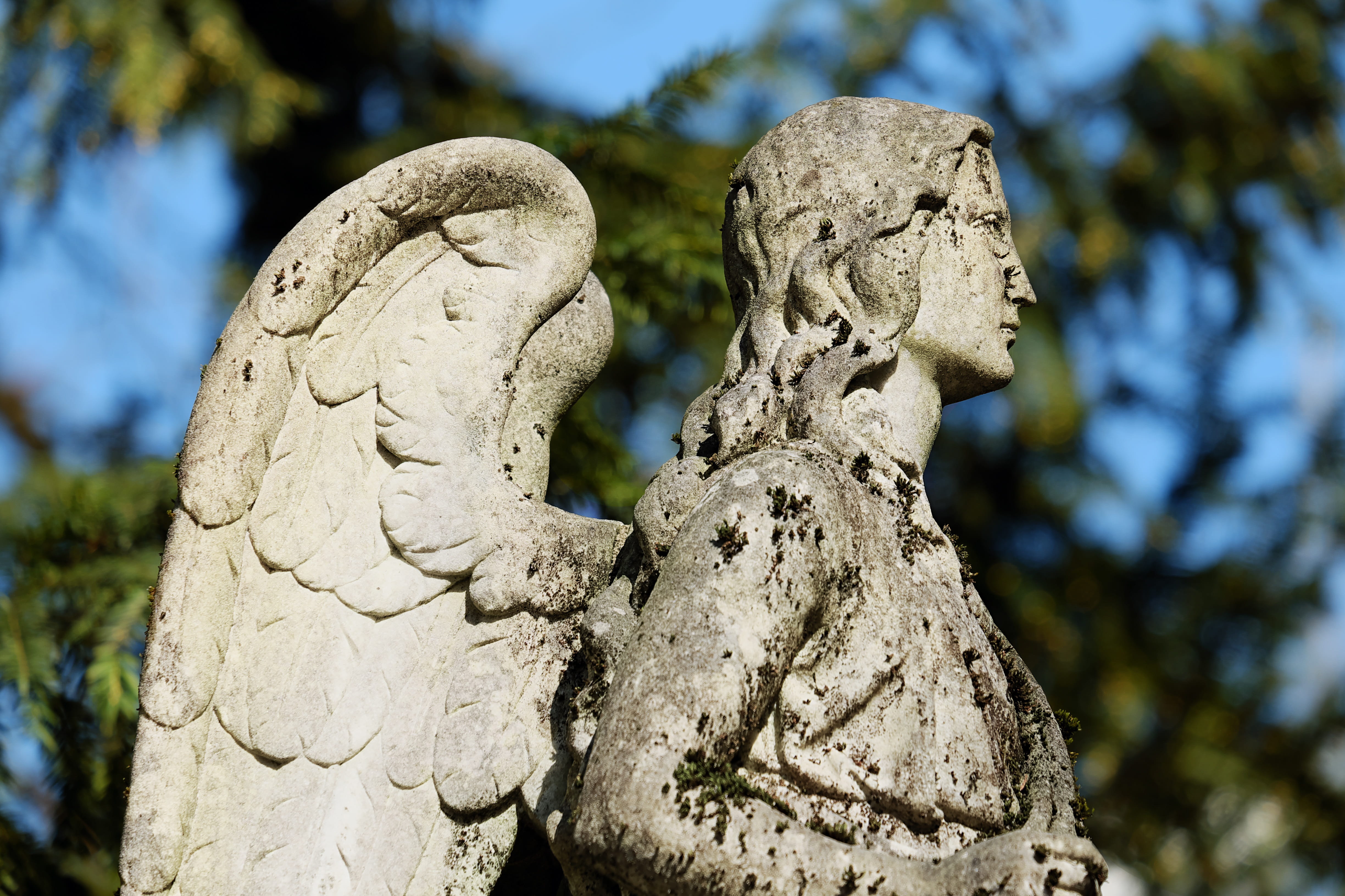 close-up, 4K, guardian angel, spirituality, craft, sky messenger, art, statue, art and craft, day, melancholic, creativity, sculpture, tree, no people, HD Wallpaper