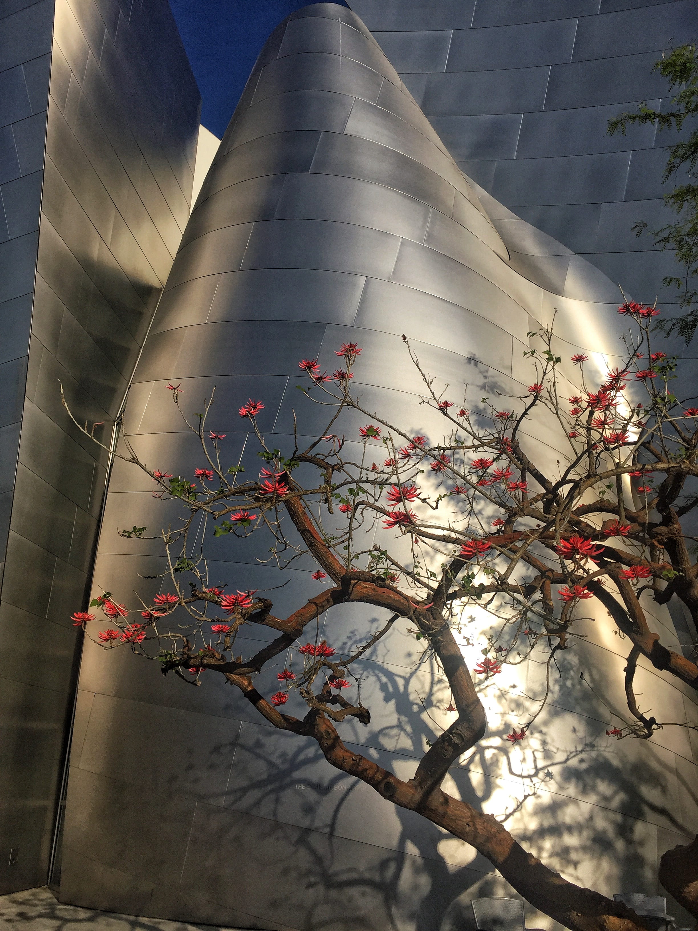 geometric, beauty in nature, construction, center, los angeles, fragility, hall, building, day, 2K, structure, shape, reflection, no people, building Exterior, Phone HD Wallpaper