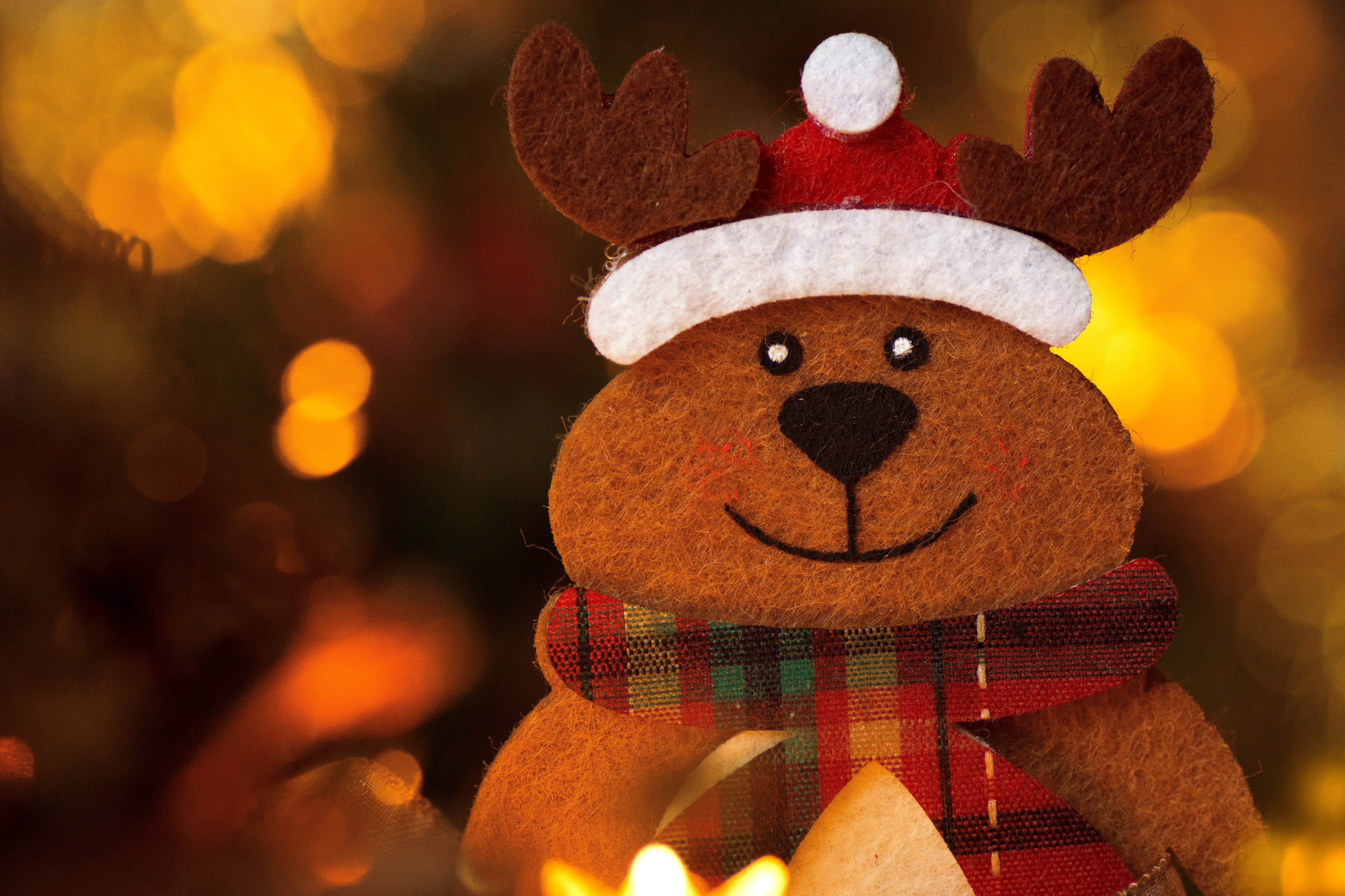 christmas greeting, creativity, deco, cute, close-up, christmas motif, 5K, hat, winter, one person, stuffed toy, smiling, reindeer, decoration, light, HD Wallpaper