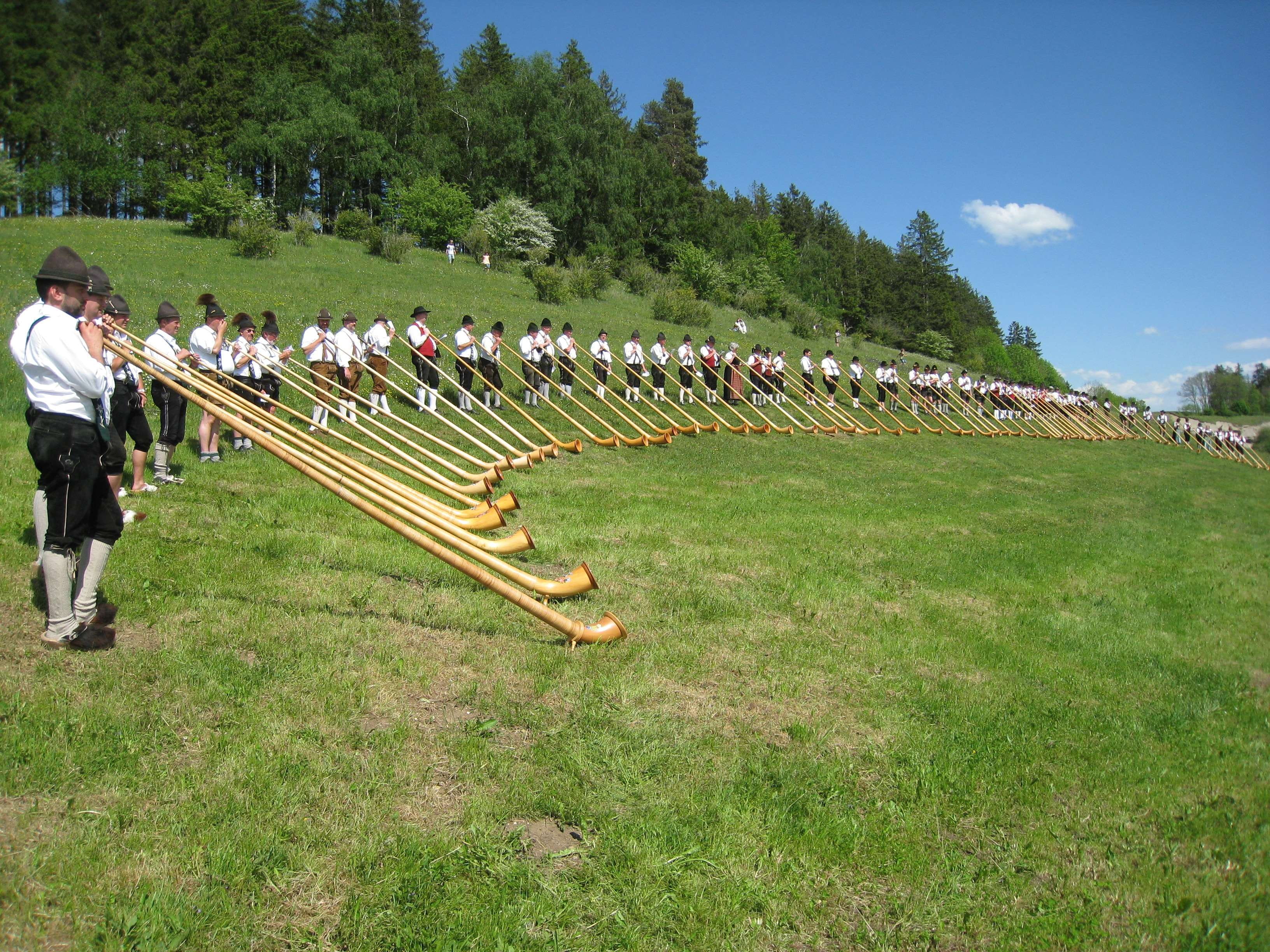 2K, clothing, sky, nature, day, armed forces, men, plant, government, land, army soldier, field, alphorn, in a row, alphorn wind meeting, uniform, costume, HD Wallpaper