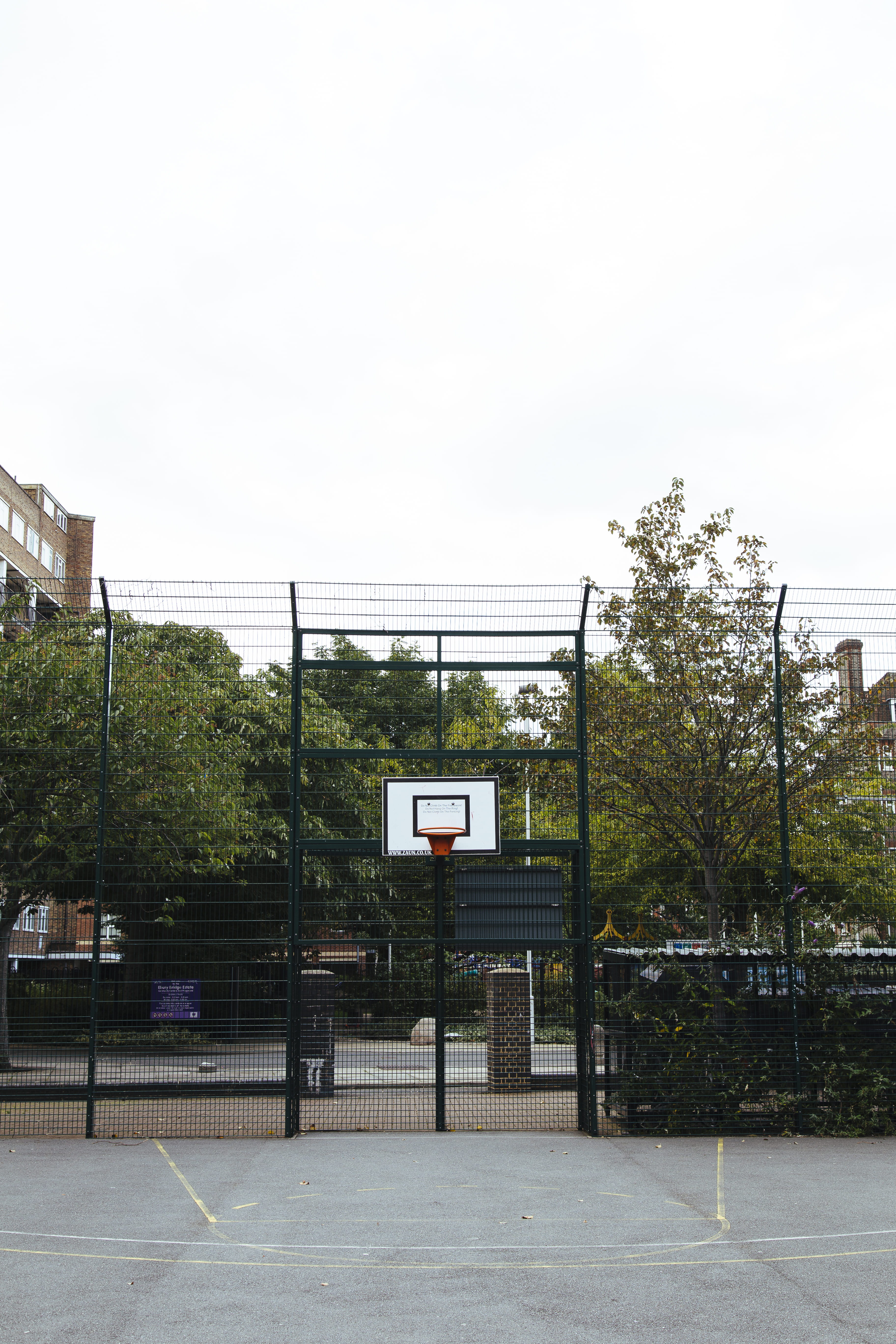 day, no people, sport, clear sky, office building, basket, tree, outdoors, team sport, architecture, empty, working out, growth, basketball, sky, london, Phone HD Wallpaper
