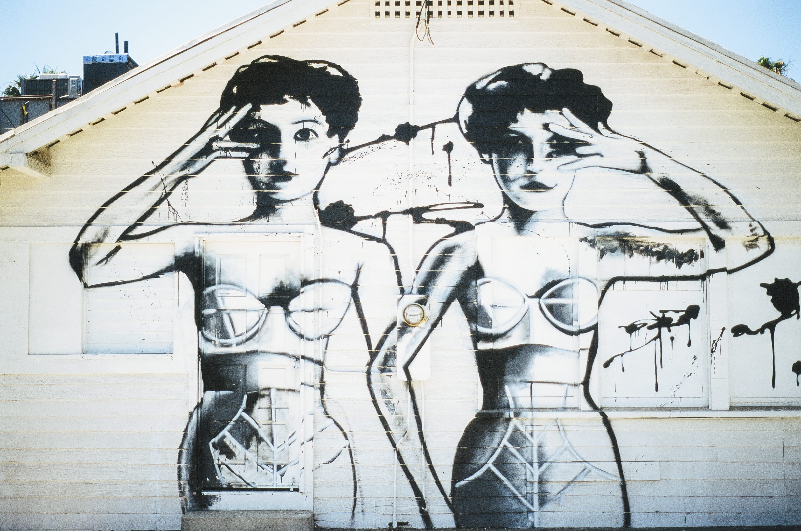 building exterior, built structure, wall, bone, human skeleton, no people, girls, bathing suit, nature, day, painting, siding, graffiti, outdoors, representation, HD Wallpaper