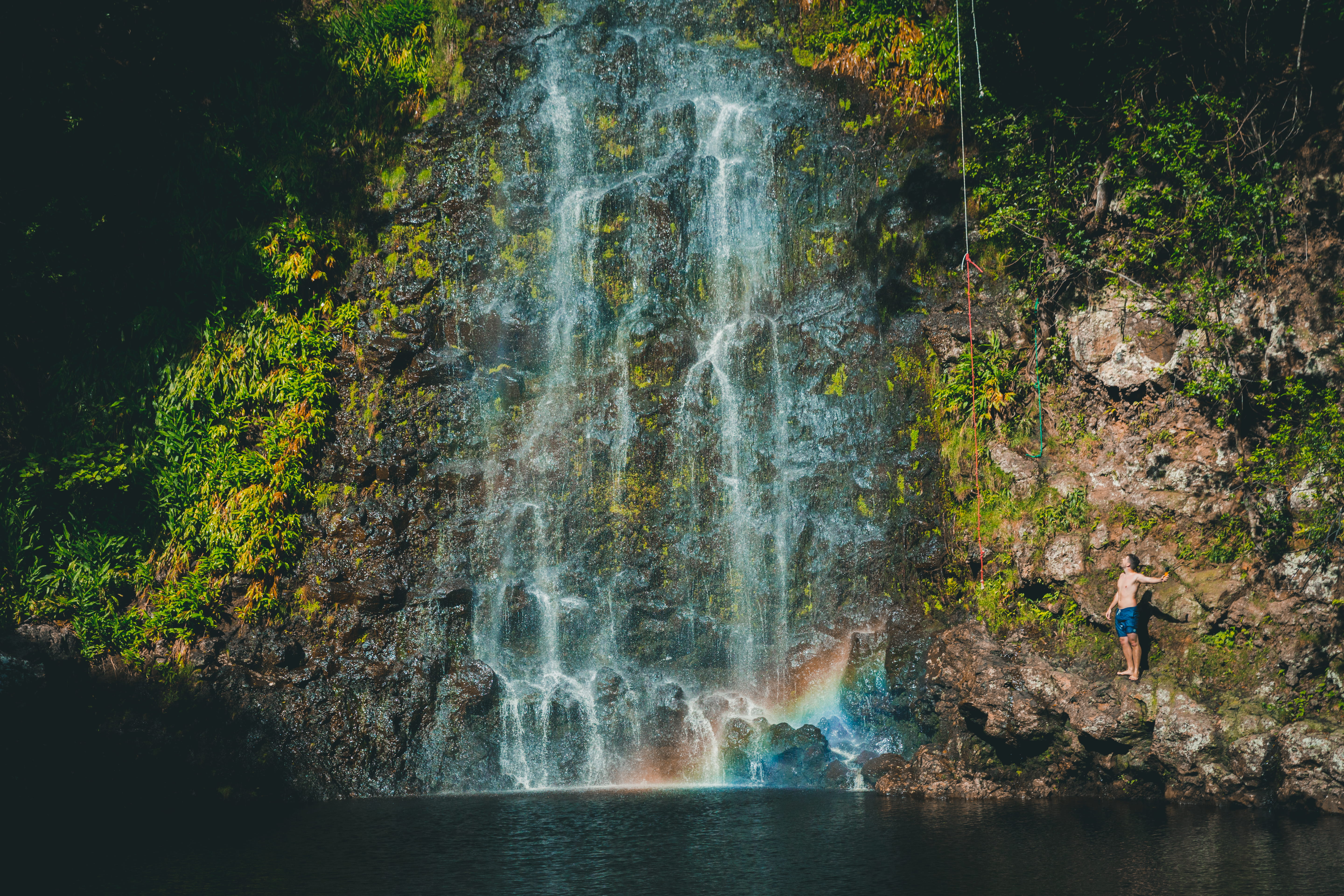 forest, leisure activity, grass, flowing, male, cliff, guy, moss, rope swing, tree, outdoors, flowing water, motion, 5K, scenics - nature, bathing suit, HD Wallpaper