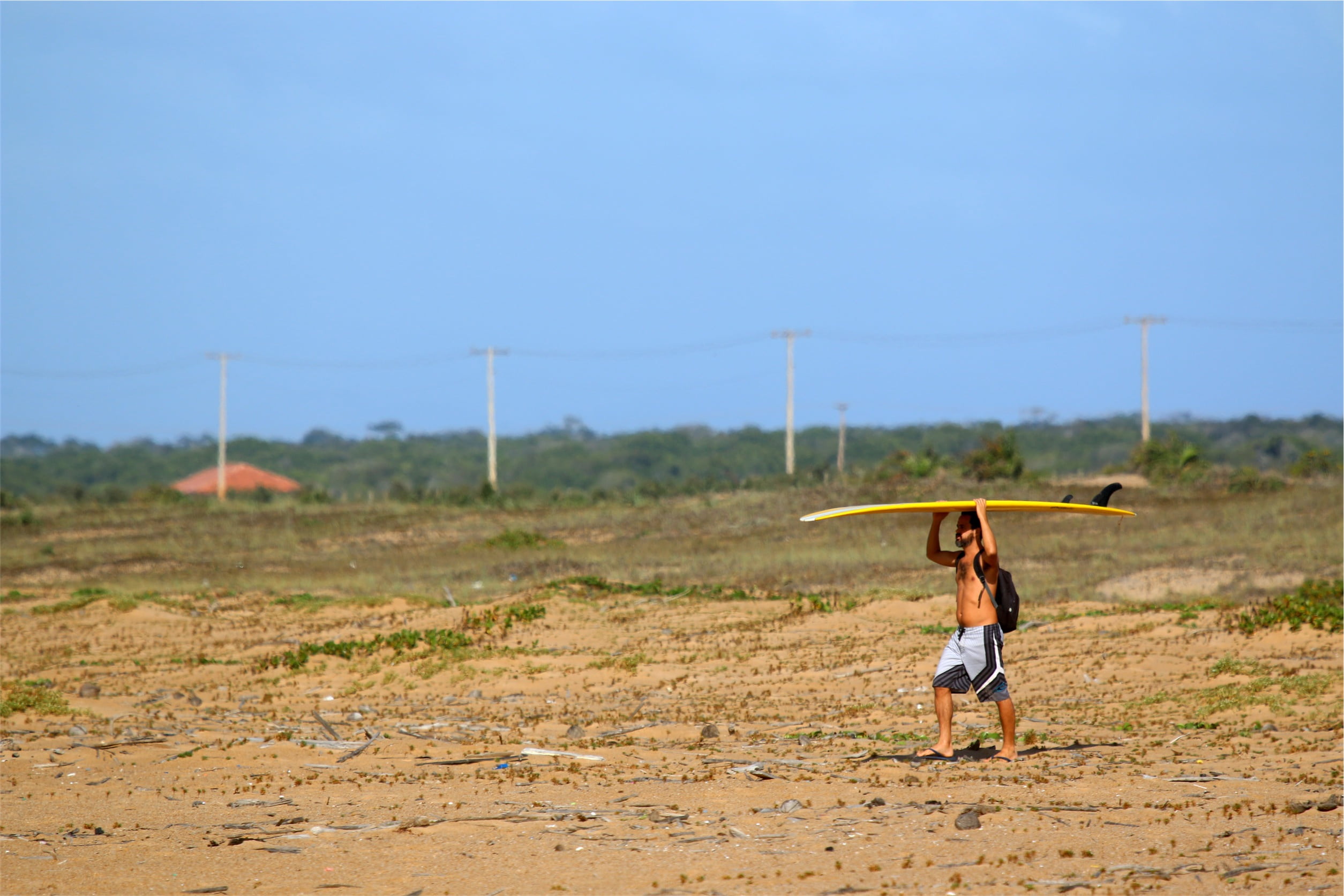 real people, board, rural scene, one woman only, walkding, surfer, leisure activity, head, sand, one young woman only, beach, nature, young adult, yellow, HD Wallpaper