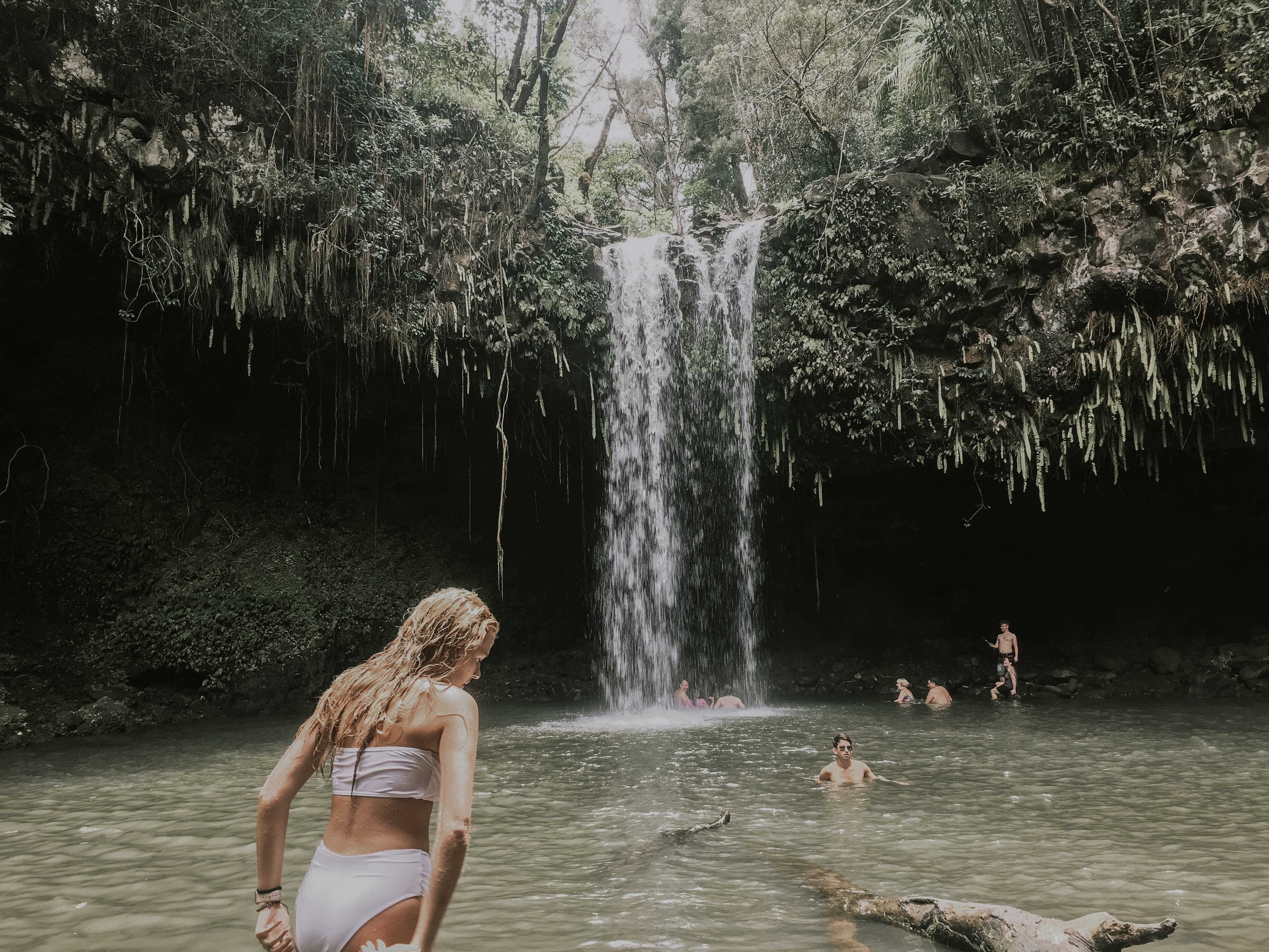plant, hidden, waterfront, hawaii, men, river, apparel, flowing water, motion, blurred motion, lifestyles, falls, bathing suit, human, person, women, hawaii, HD Wallpaper