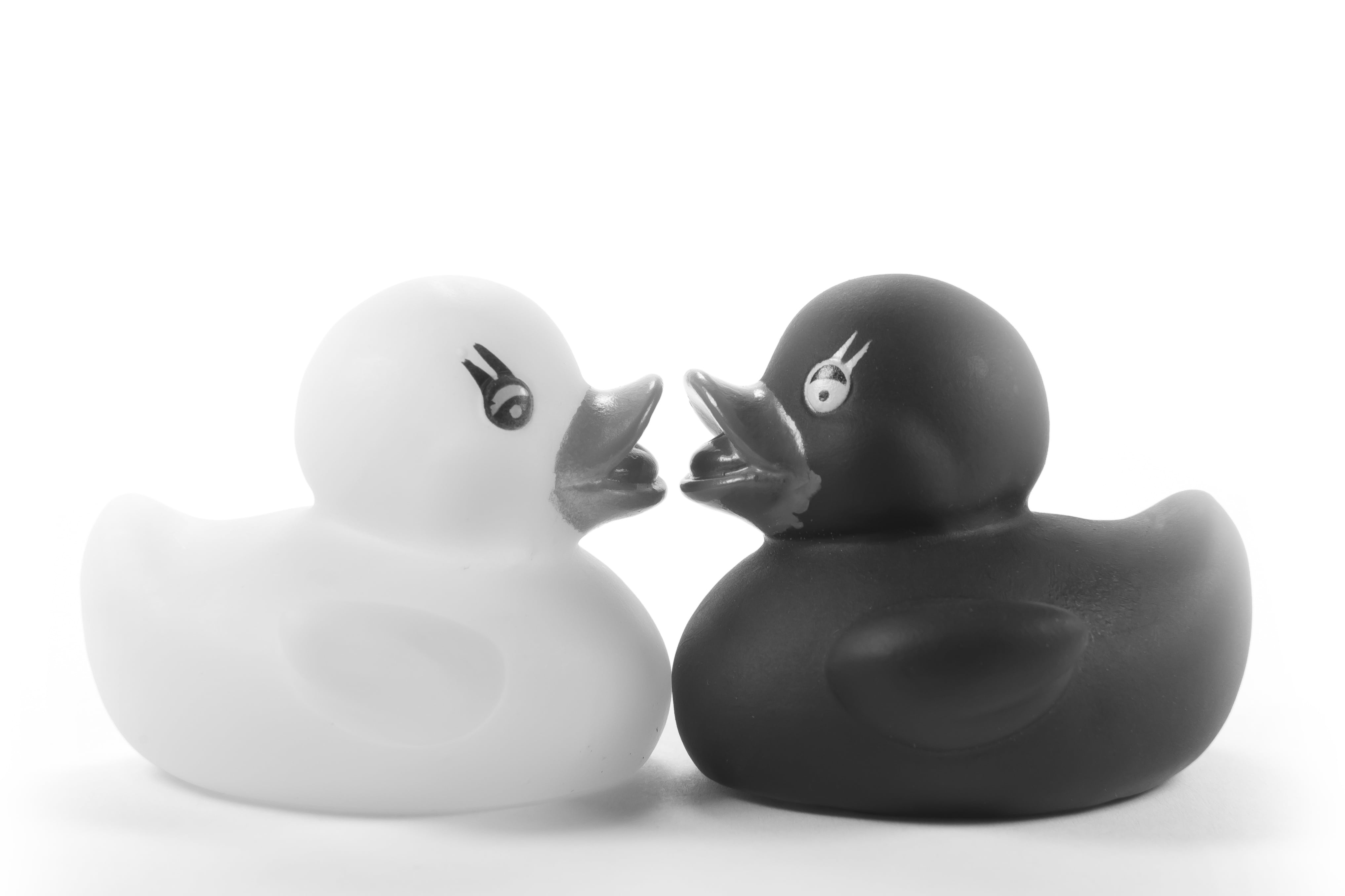 rubber ducks, two objects, toy duck, pair, studio shot, pepper shaker, white background, love, romantic, postcard, 4K, fun, kiss, still life, before, no people, HD Wallpaper