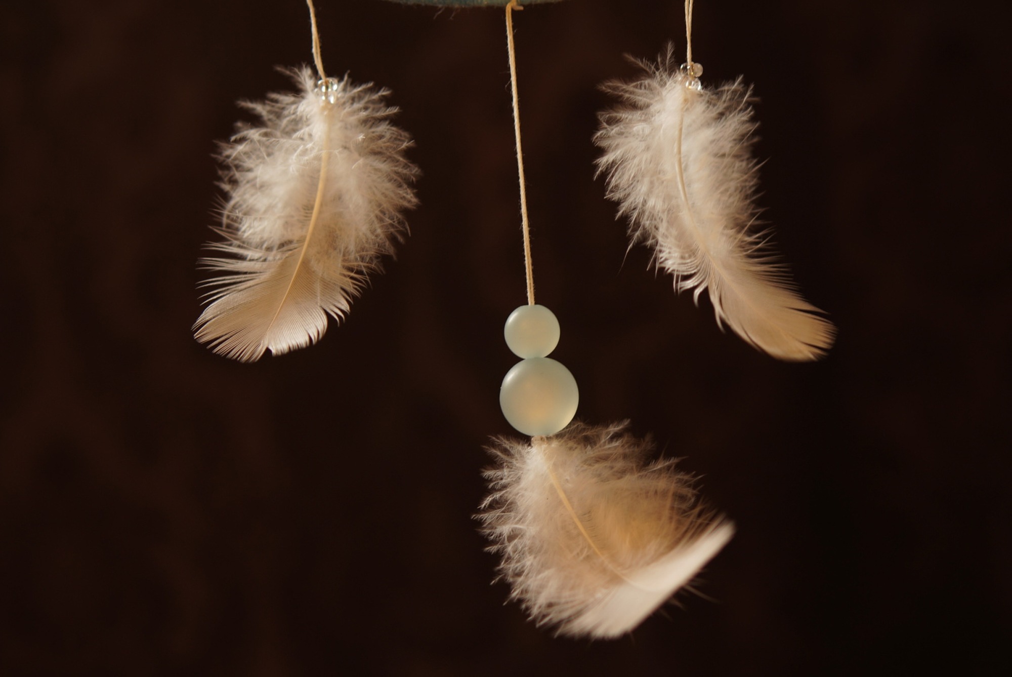 brown, spiritual, softness, illuminated, three, air, dreams, fragility, celebration, indian, nature, black background, selective focus, hanging, indoors, HD Wallpaper
