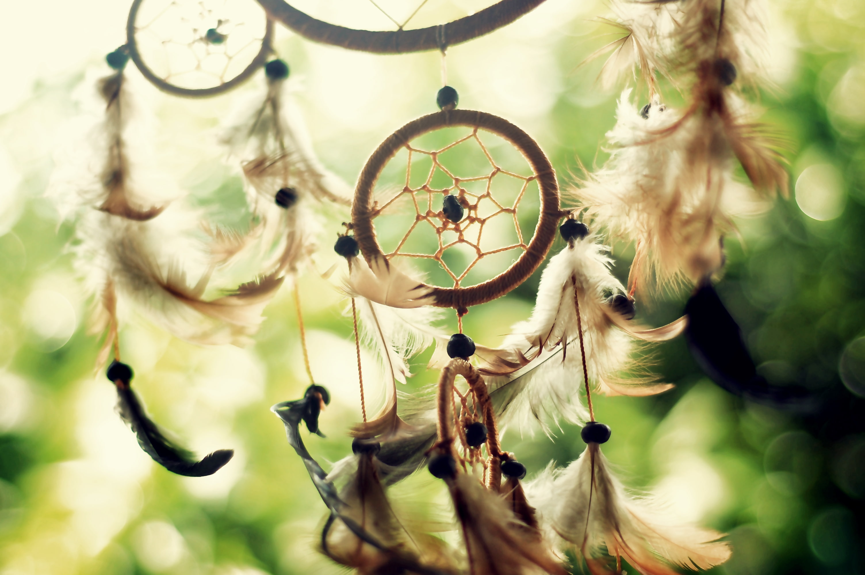 religious equipment, softness, cultures, day, the sun, close-up, no People, 2K, backgrounds, flower, art and craft, selective focus, luck, Dreamcatcher, HD Wallpaper