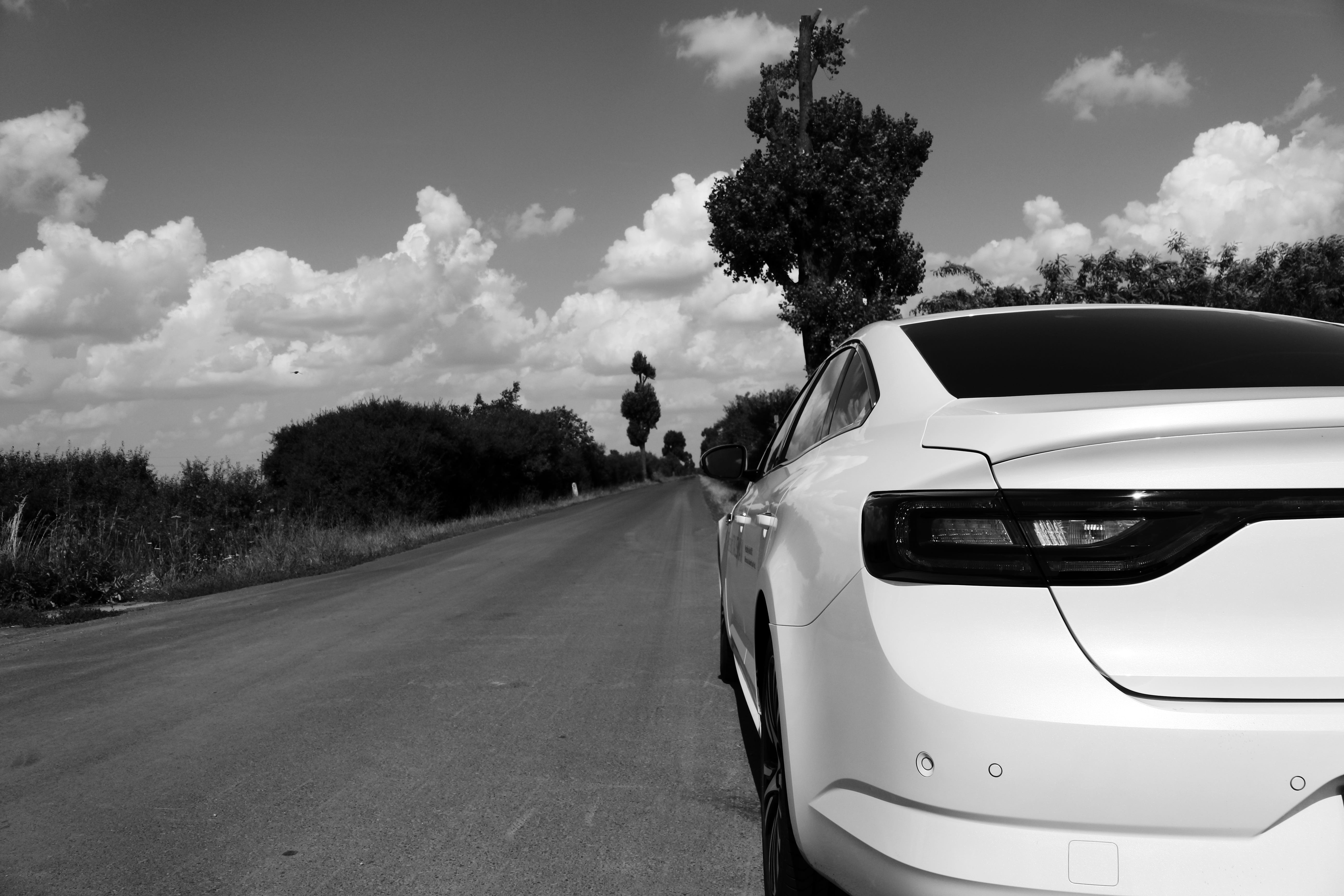 initiale paris, plant, road trip, sunlight, renault, tree, day, cloud - sky, transportation, city, on the move, outdoors, street, travel, mode of transportation, HD Wallpaper