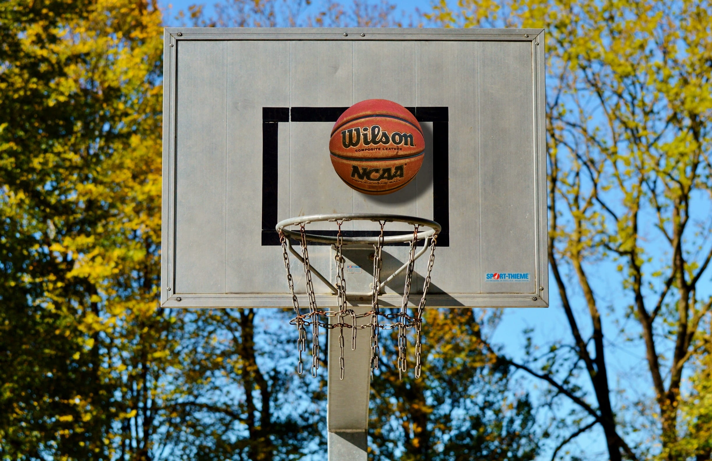 1080P, streetball basket, basket, tree, autumn, day, outdoor, sign, no people, plant, sky, wilson, sport, focus on foreground, play, board, sunlight, ball, HD Wallpaper