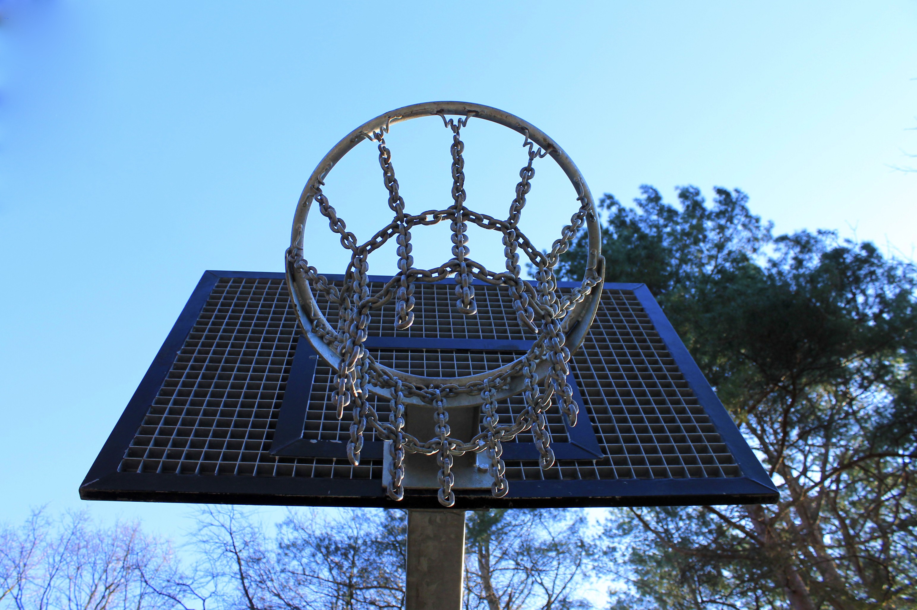basketball, leisure, built structure, sport, circle, tree, outdoors, blue, basketball - sport, architecture, 2K, metal, plant, sky, geometric shape, low angle view, HD Wallpaper