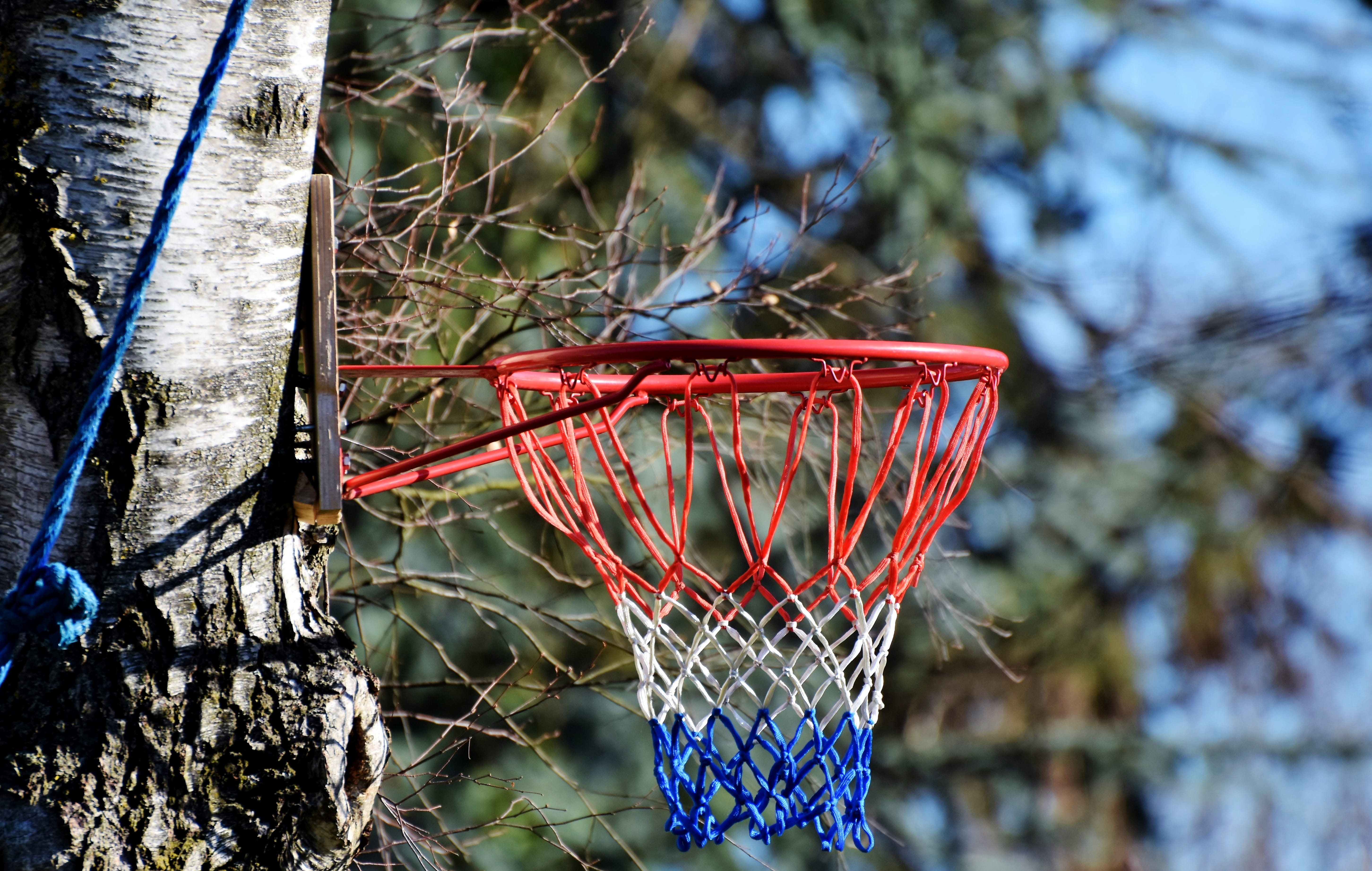 ball game, 5K, leisure, protection, red, day, no people, basketball hoop, nature, play, net - sports equipment, metal, basket, plant, sunlight, basketball, HD Wallpaper