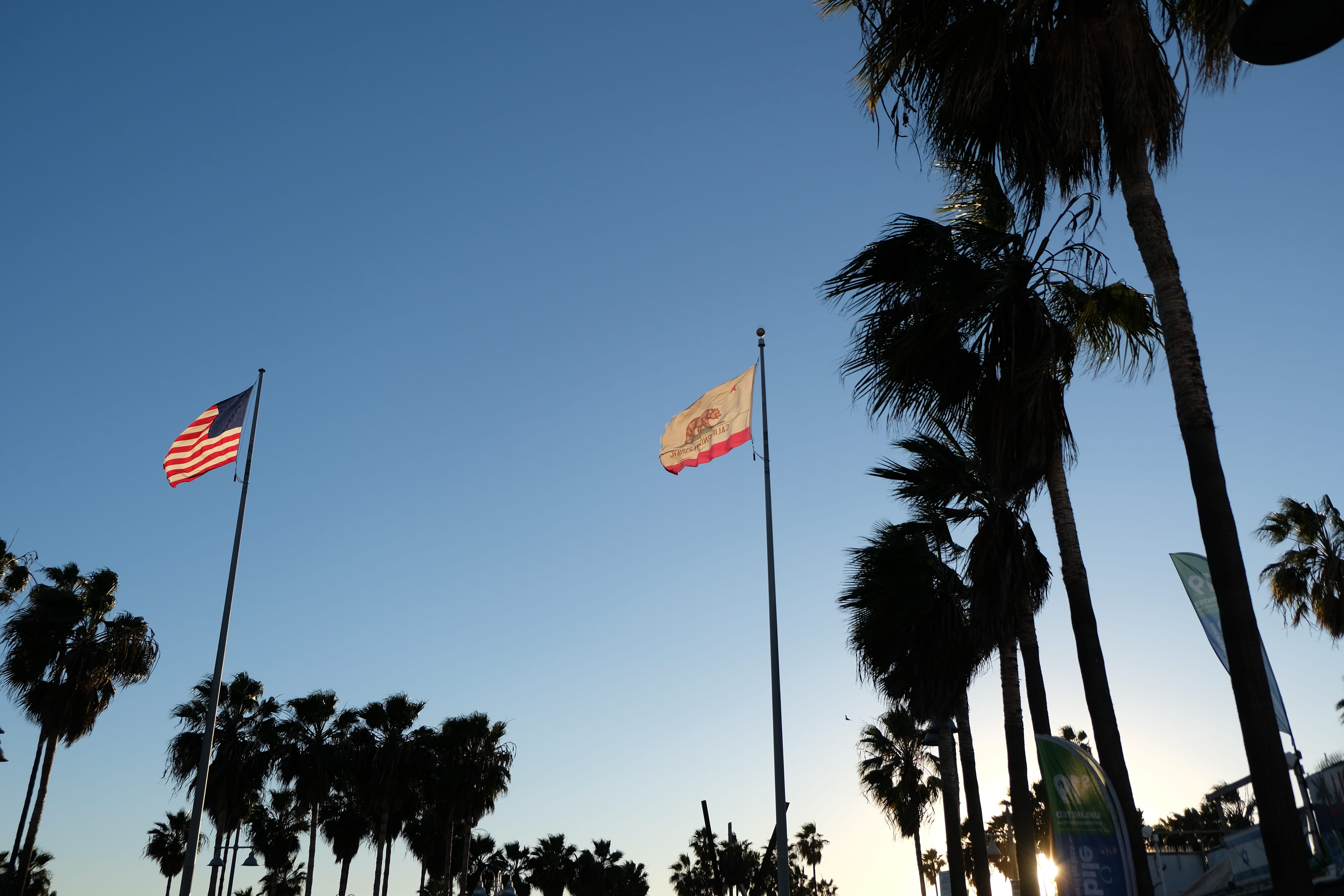 low angle view, wind, flag, sky, nature, united states, patriotism, los angeles, us, tree, flags, venice, trunk, day, clear sky, palm leaf, california, HD Wallpaper