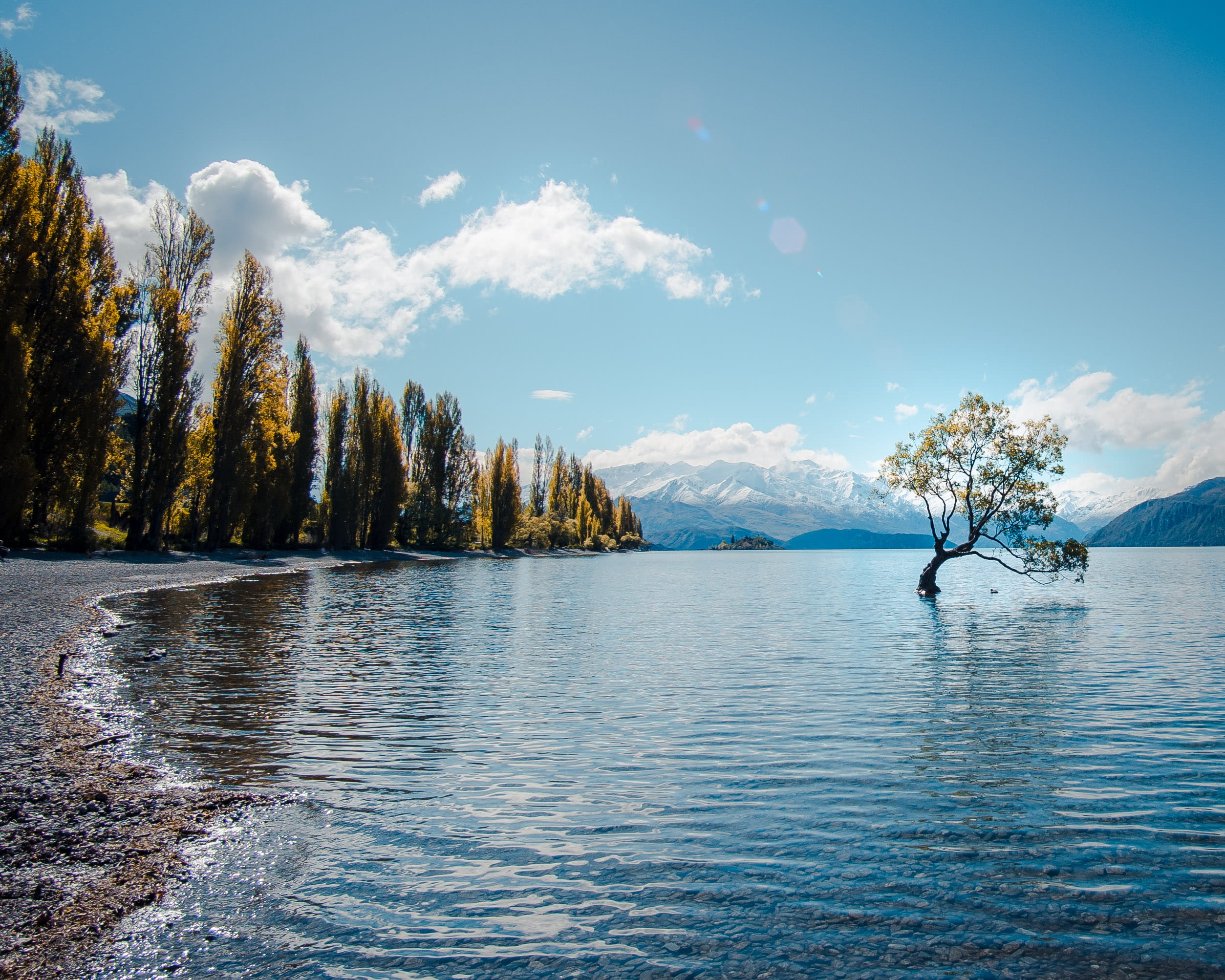lake, fir, hike, tranquility, traveling, day, remote, non-urban scene, that wanaka tree, wanaka, 1080P, conifer, nature, outdoors, tree, beauty in nature, HD Wallpaper