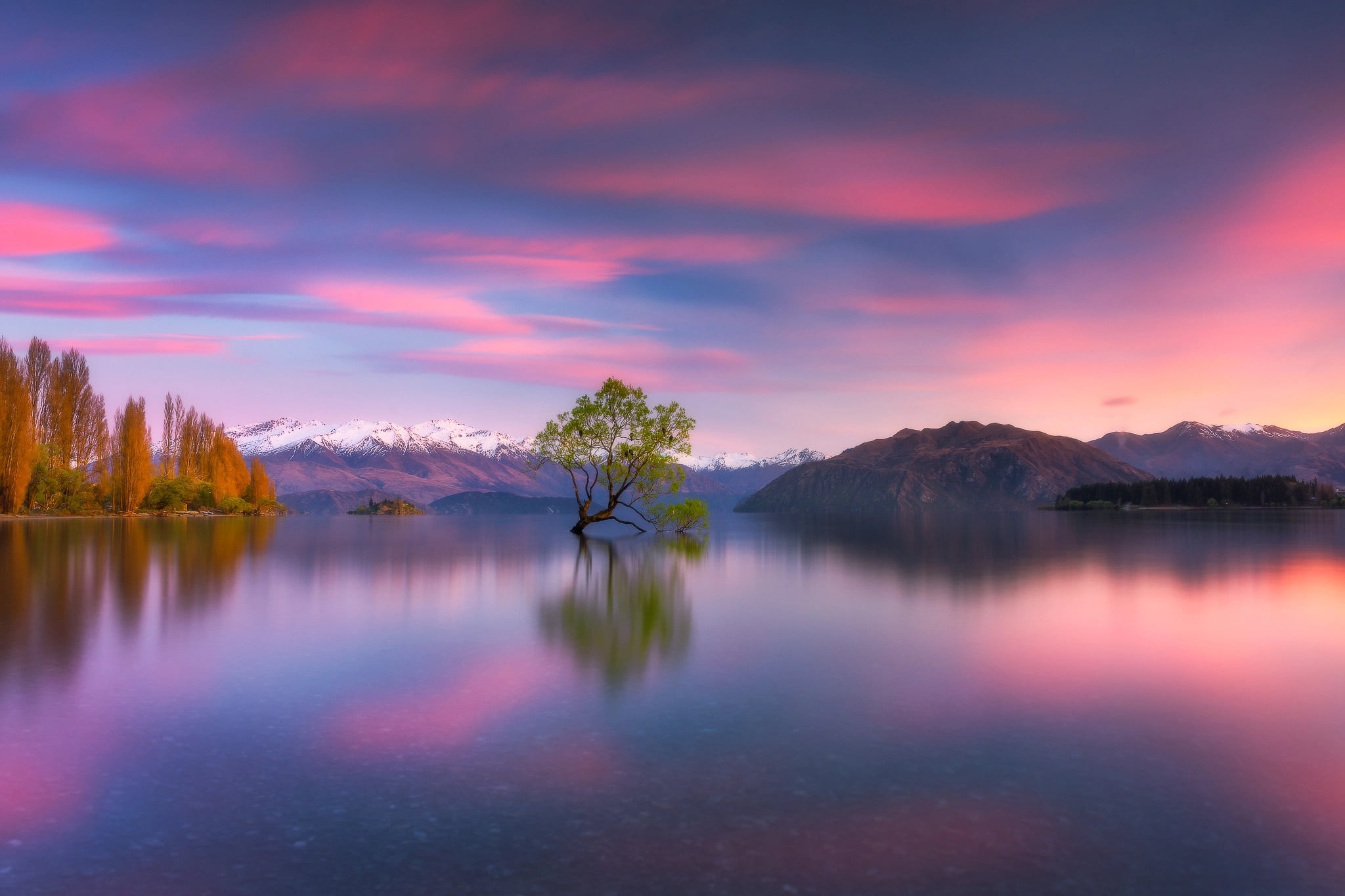 tree, 1080P, New Zealand, mountains, Lake Wanaka, Southern Alps, lake, HD Wallpaper