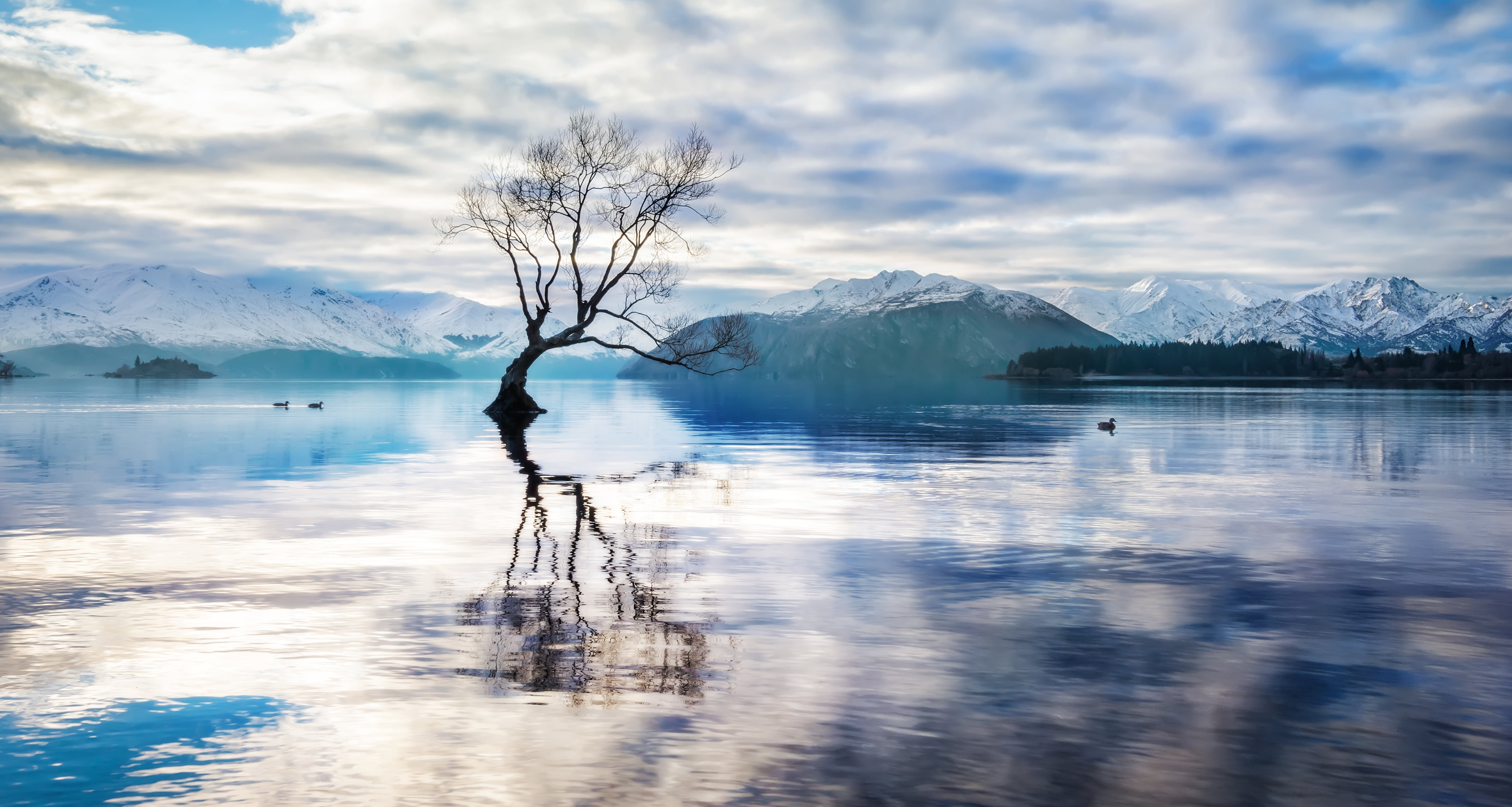 Snow, outdoors, 4K, Wanaka, nature, water, scenics, middle, New Zealand, com, reflection, landscape, river, bare, mountain, lake, Ducks, Tree, HD Wallpaper