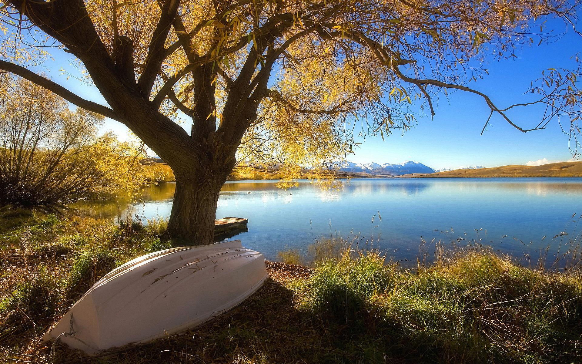 lake, nature, new, alexandrina, zealand, 1080P, HD Wallpaper