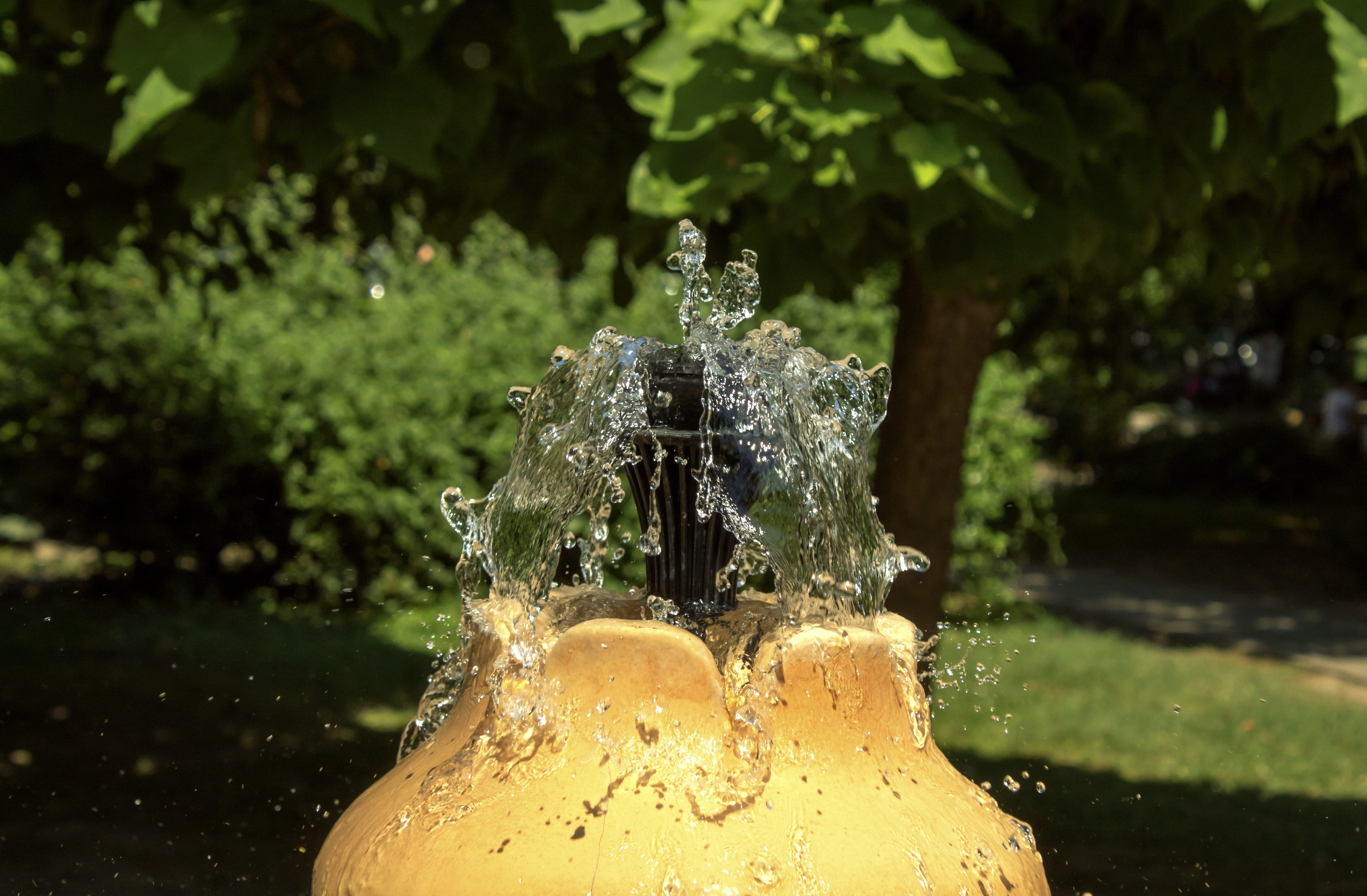spraying, nature, no people, badacsony, motion, tree, water jet, 4K, wet, day, fountain, purity, close-up, refreshment, park - man made space, food and drink, HD Wallpaper