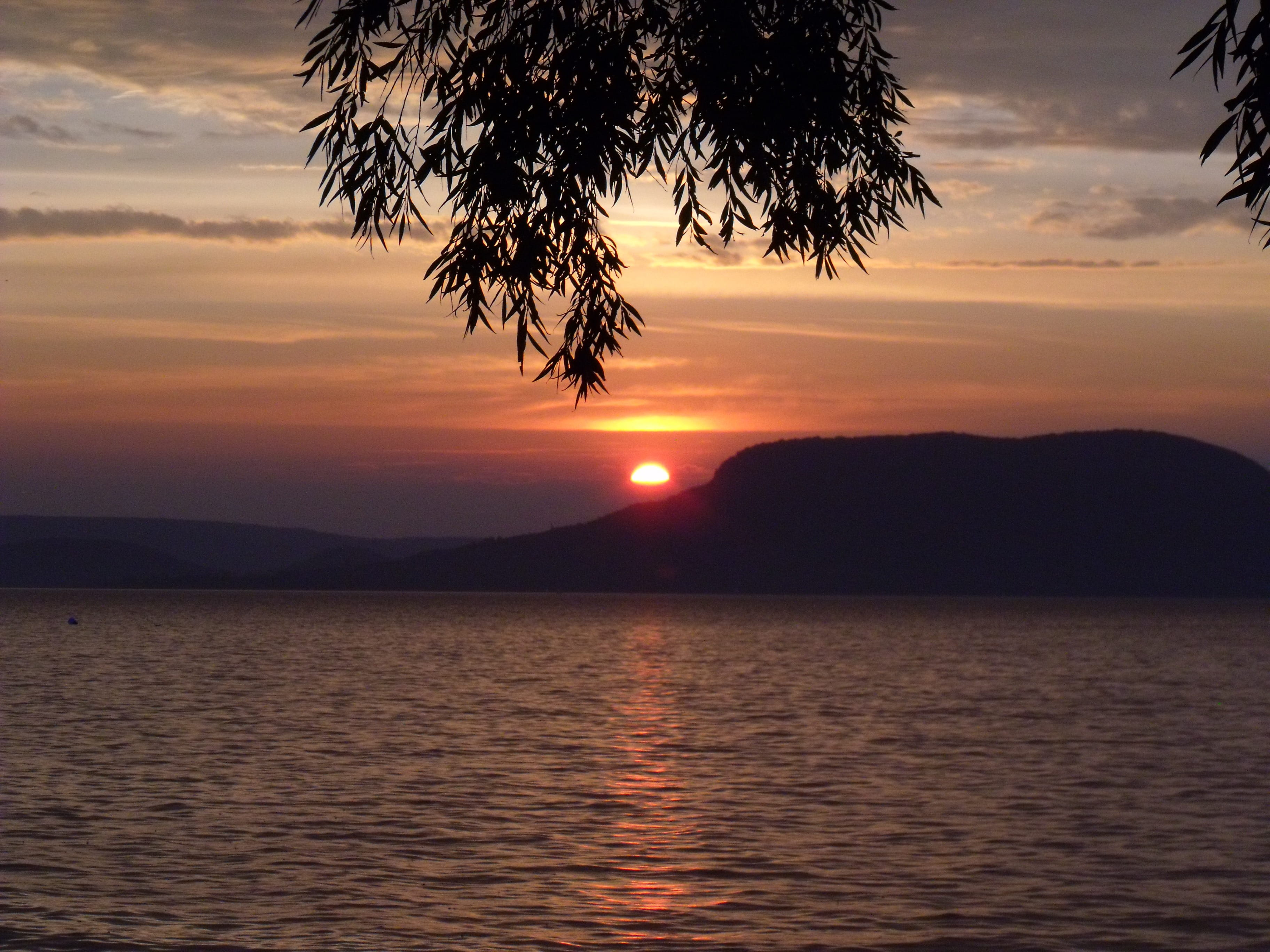 2K, scenics - nature, cloud - sky, Badacsony, tranquility, sun, nature, scenics, seagull, silhouette, Sunset, beauty in nature, plant, outdoors, landscape, HD Wallpaper