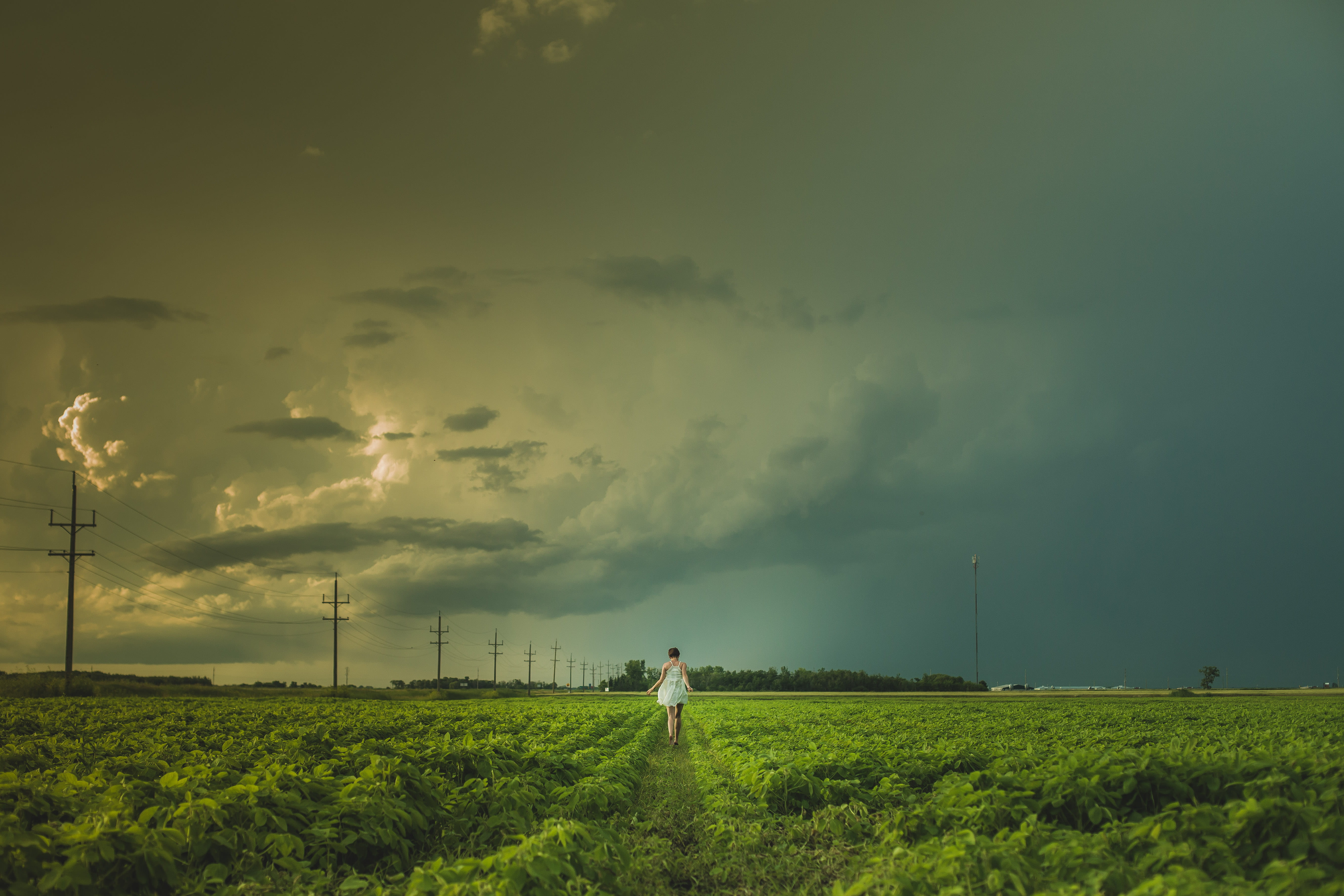 green color, sky, woman, beauty in nature, person, farm, grass, post, landscape, technology, field, scenics - nature, storm, cloud, cloud - sky, tranquility, HD Wallpaper