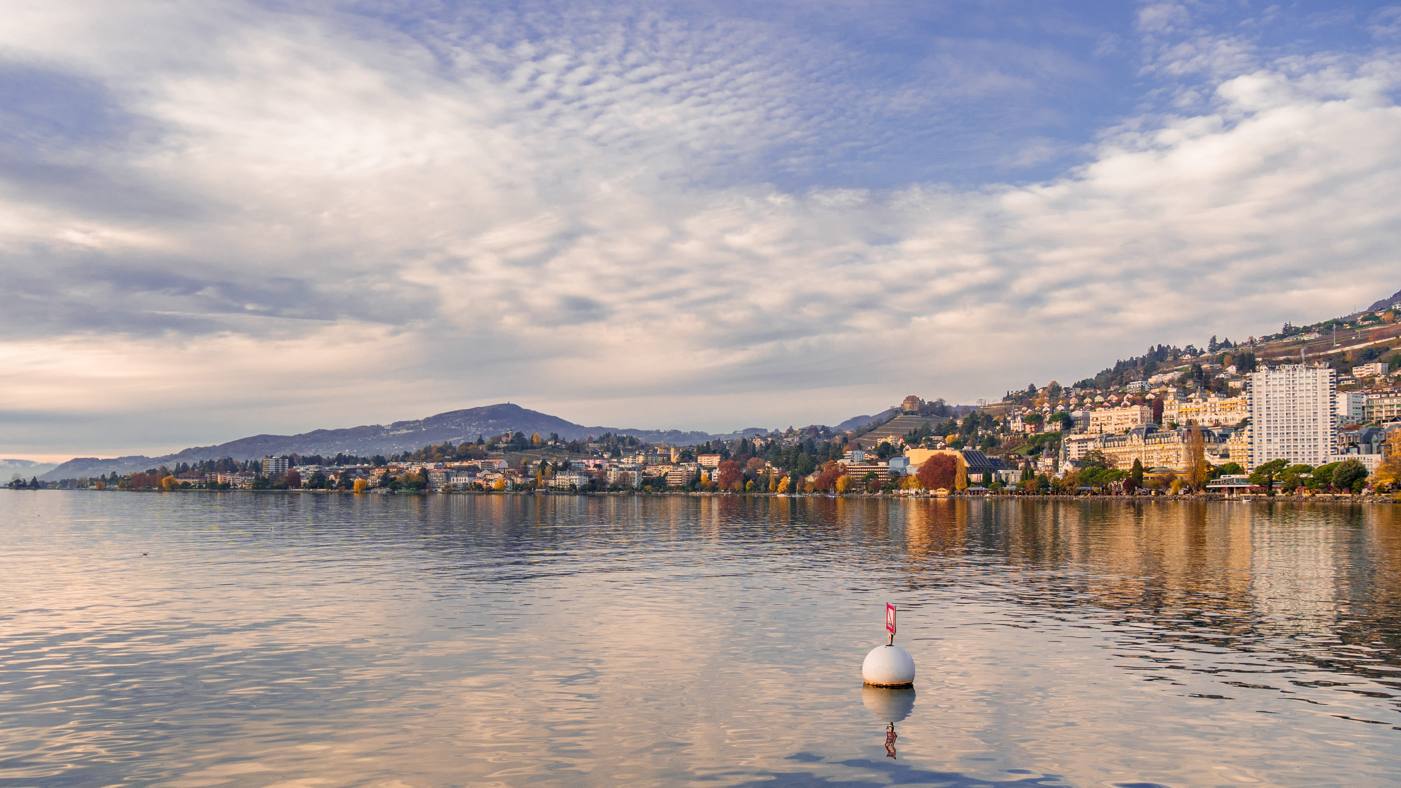 city, animal themes, cityscape, building exterior, montreux, one animal, bird, beauty in nature, clouds, 4K, water, architecture, landscape, animals in the wild, HD Wallpaper