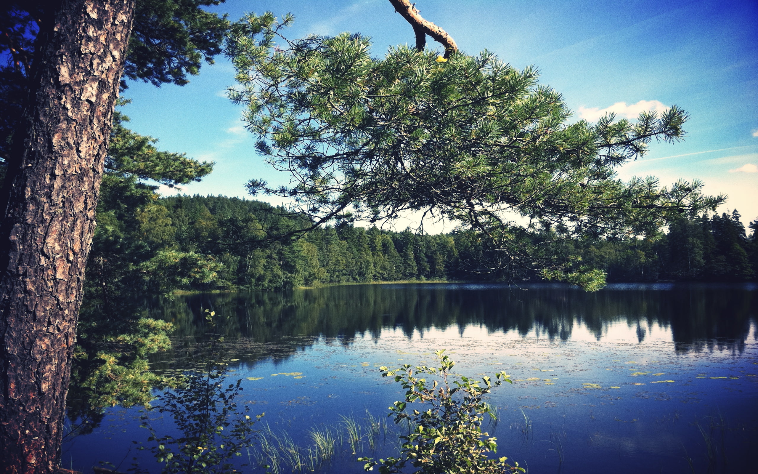 Blue, 2K, Forests, lake, Clouds, lakes, beautiful, art, hd, little, swedish, nature, HD Wallpaper