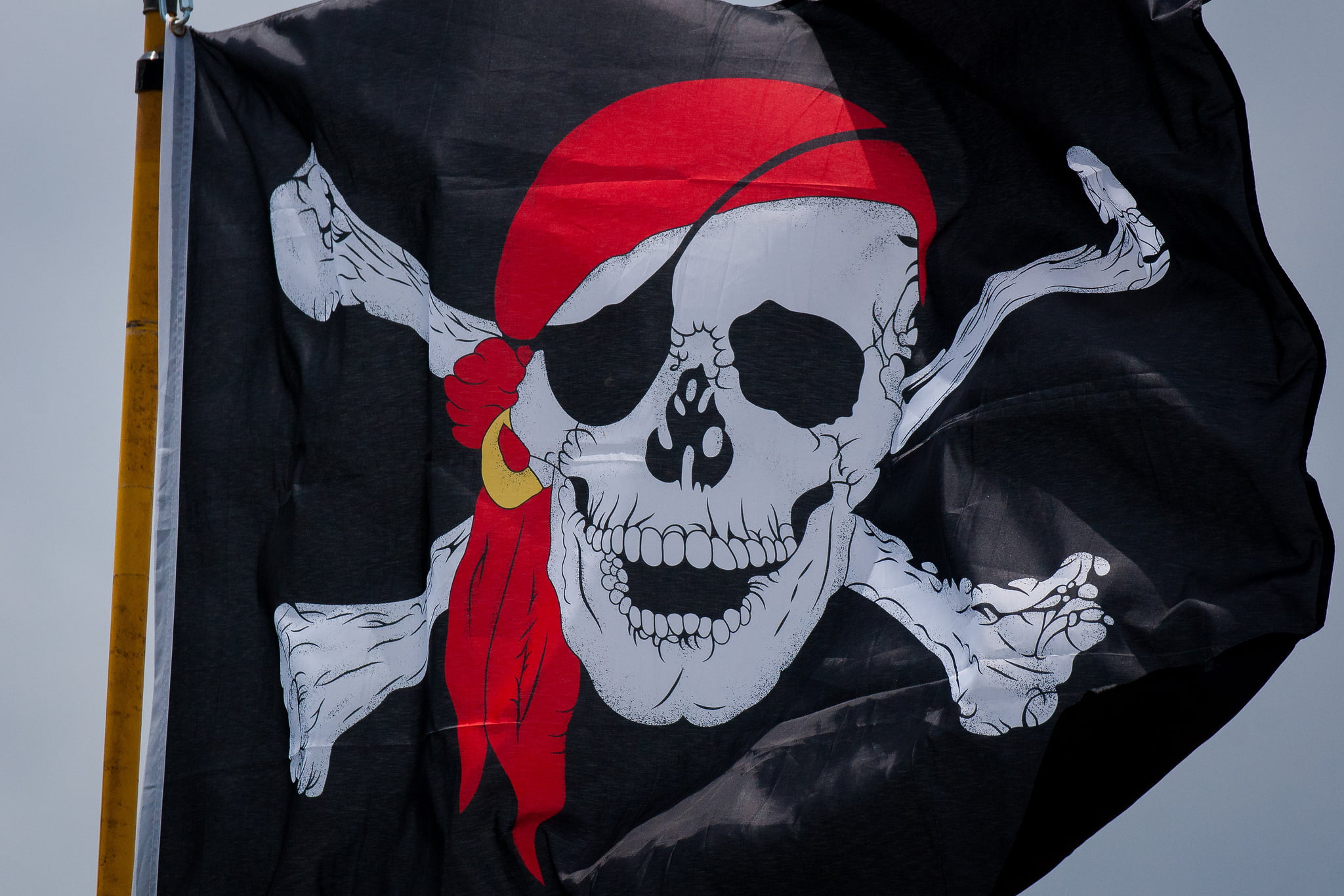 human representation, patriotism, celebration, bone, communication, human skeleton, human skull, representation, clothing, skull, 1080P, text, indoors, HD Wallpaper