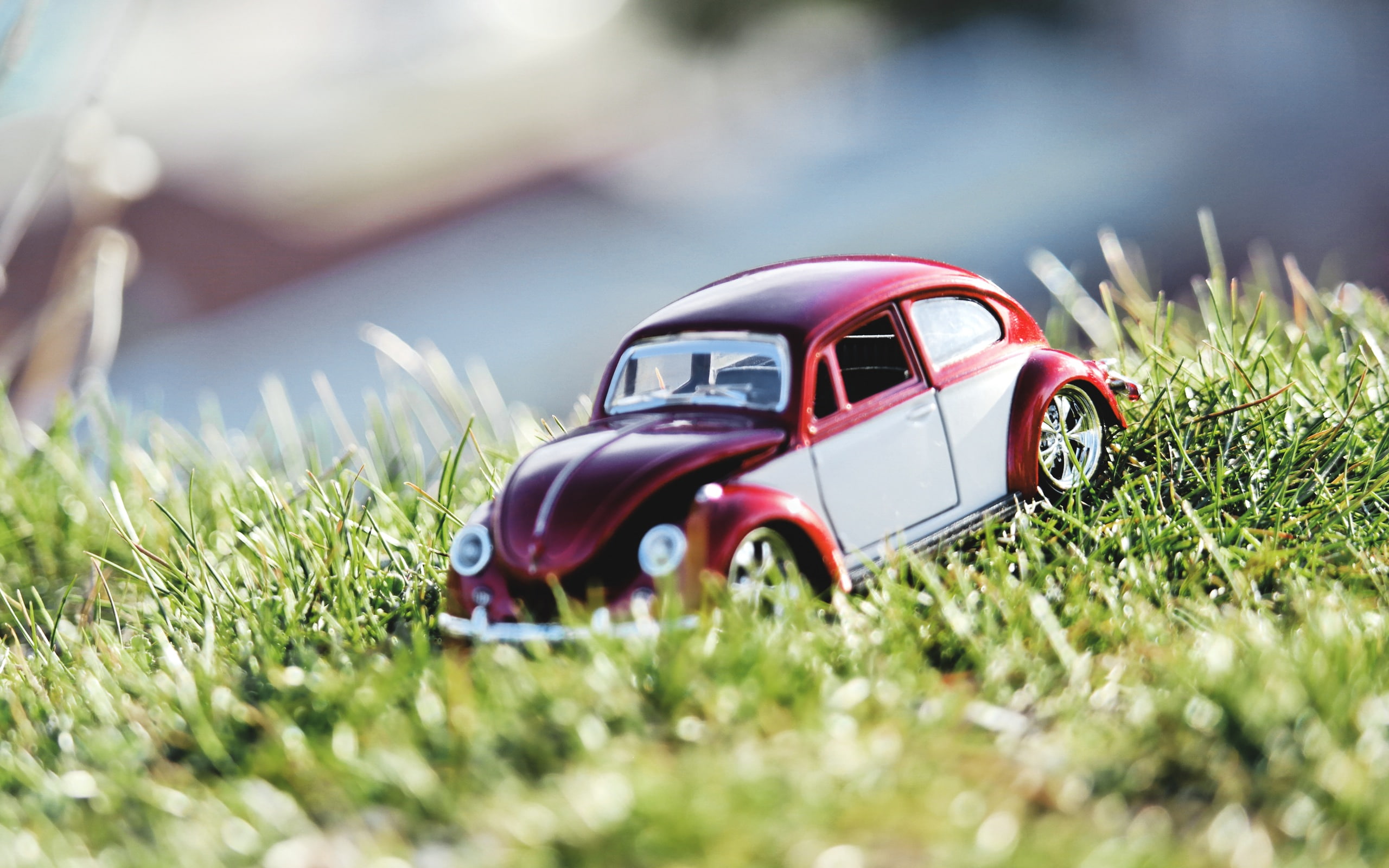 car, small, summer, nature, grass, sunlight, toy, toy car, 2K, HD Wallpaper