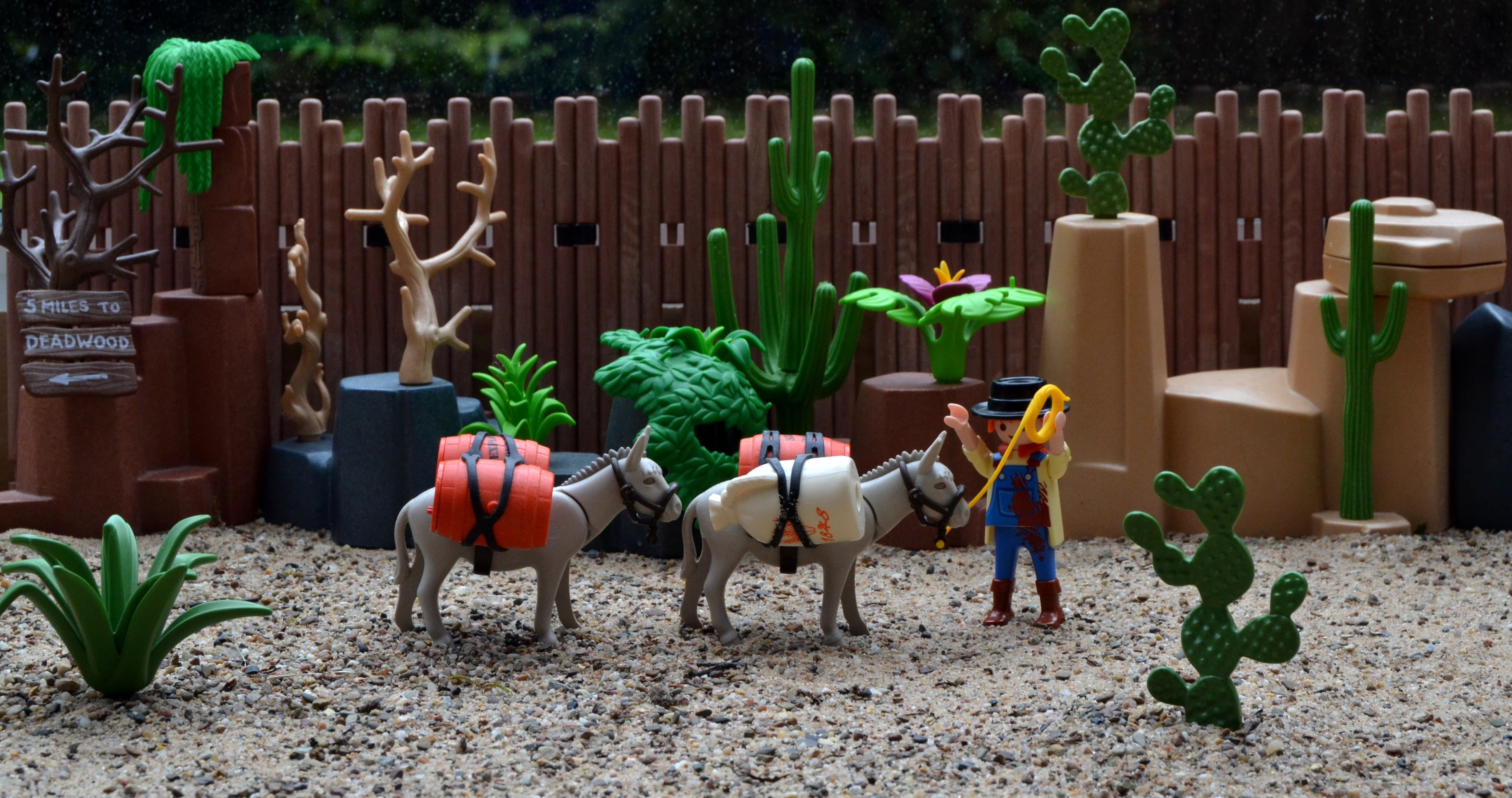 western, no people, growth, toys, animal representation, potted plant, children, decoration, replenishment, front or back yard, gold digger, creativity, HD Wallpaper