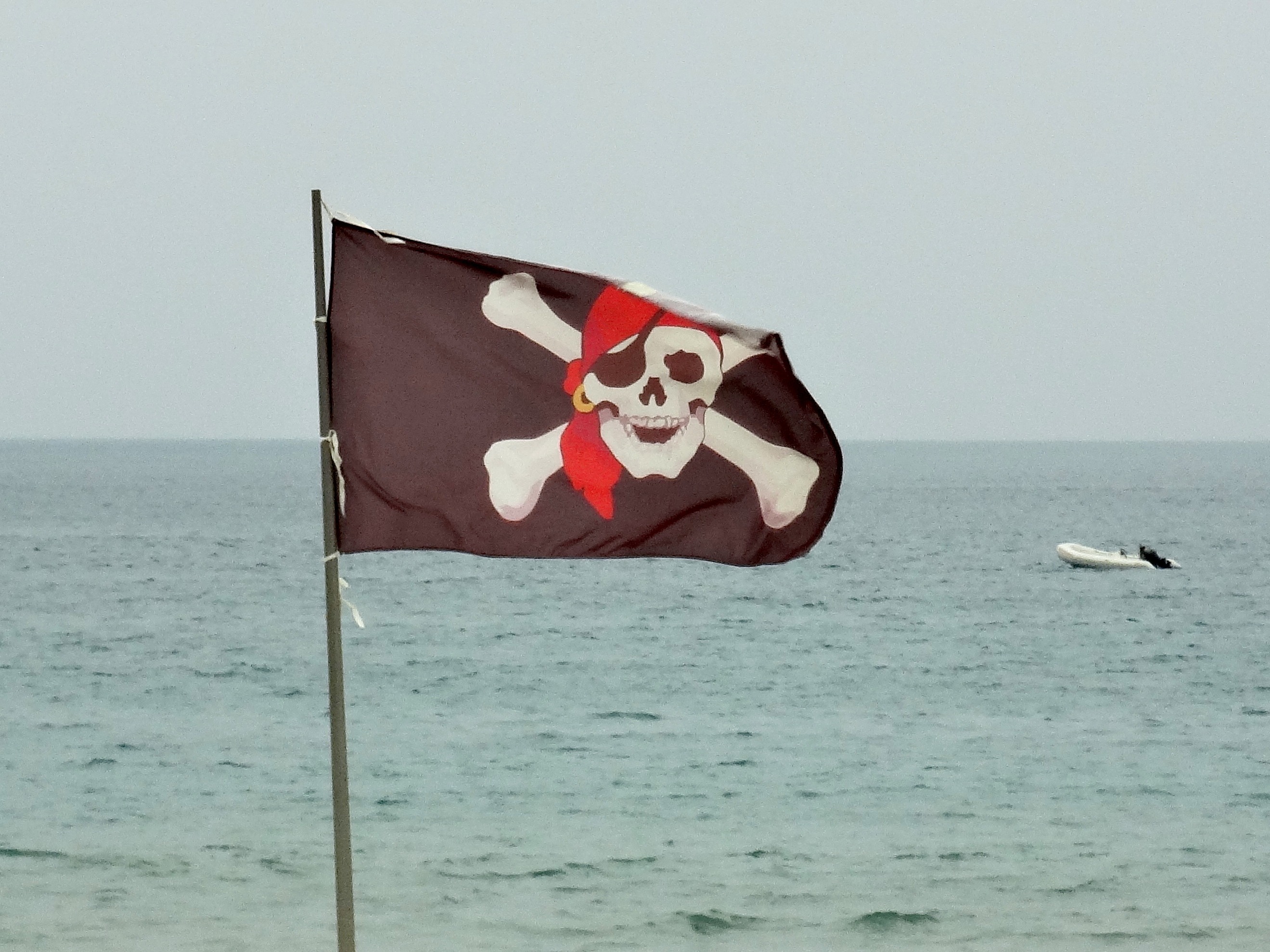 2K, beauty in nature, copy space, pirates, scenics - nature, red, wind, horizon over water, animal, flag, horizon, no people, nature, sea, representation, HD Wallpaper