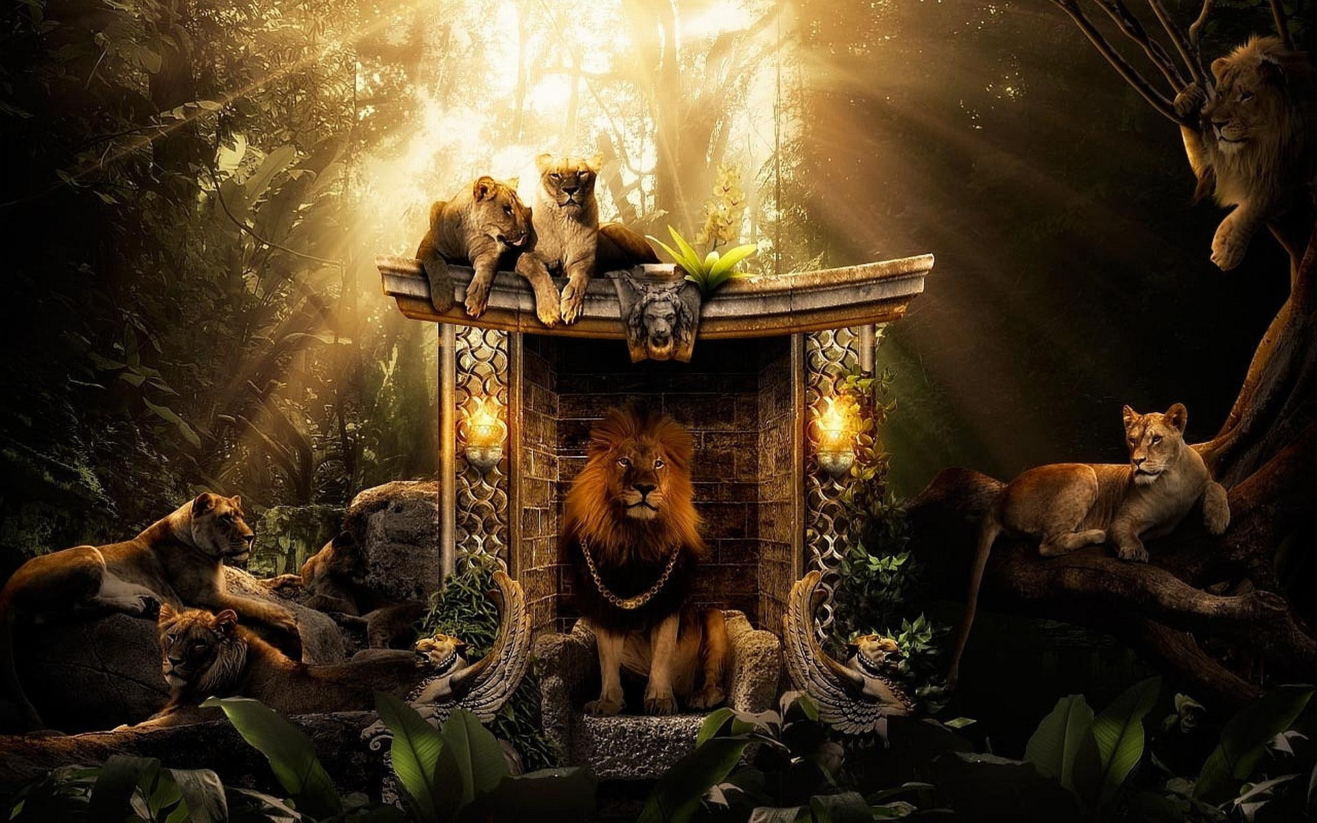 king, predator, cats, surreal, lions, animals, sunglow, 1080P, HD Wallpaper