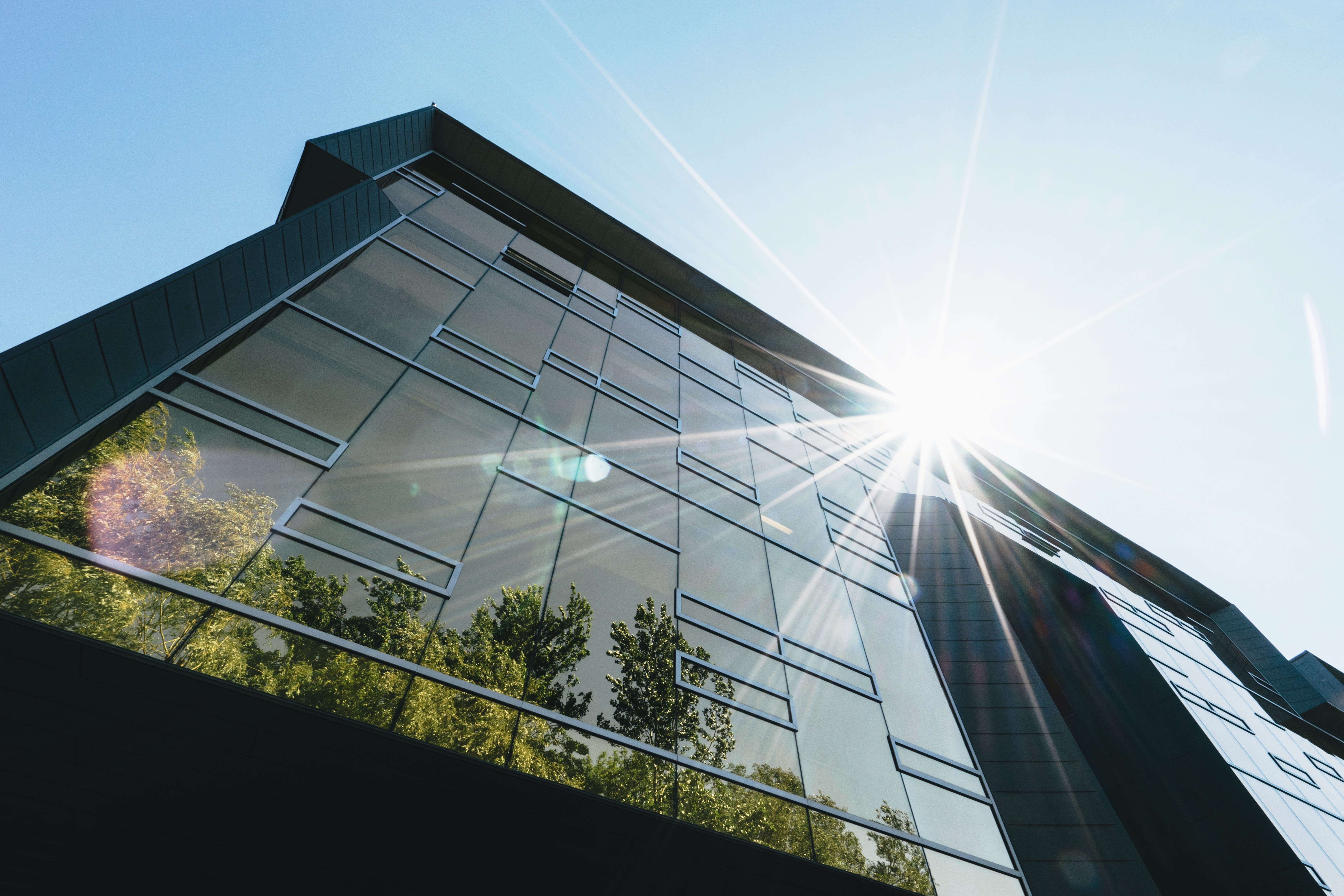 sunlight, glass - material, sun flare, trees, downtown, leaves, architectural, outdoors, building, reflection, business, built structure, offices, modern, HD Wallpaper